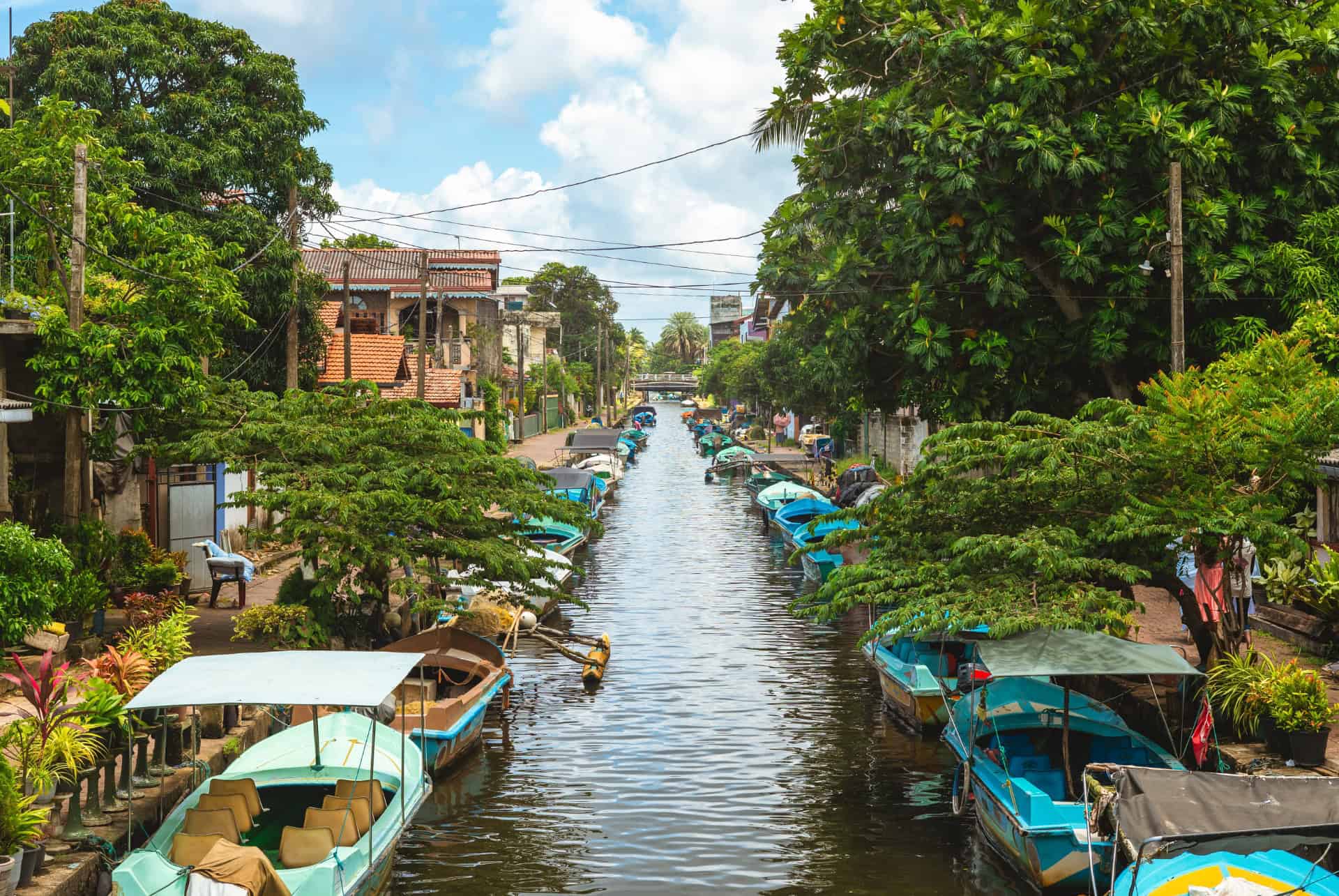 canal de negombo sri lanka en octobre