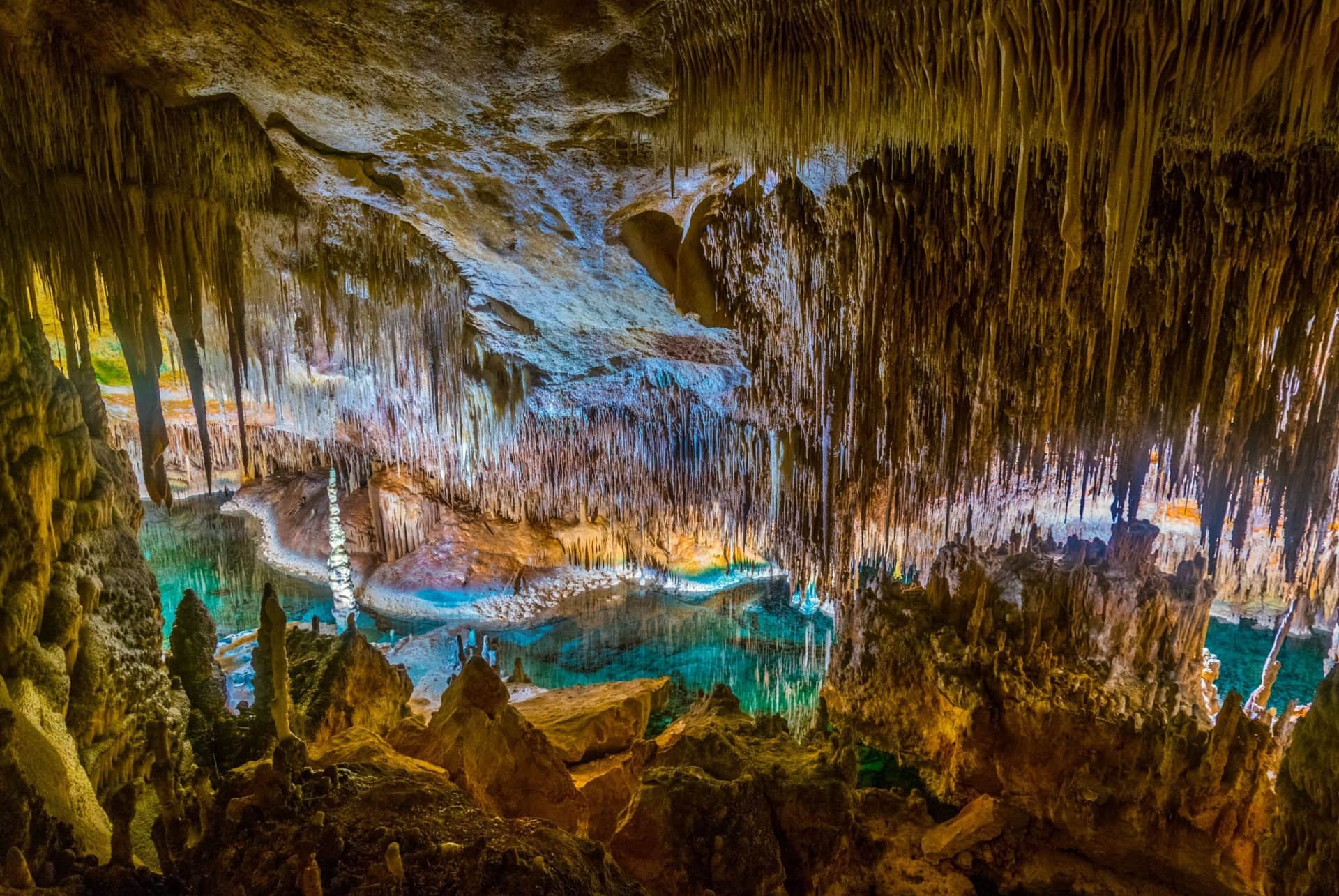 cova des coloms