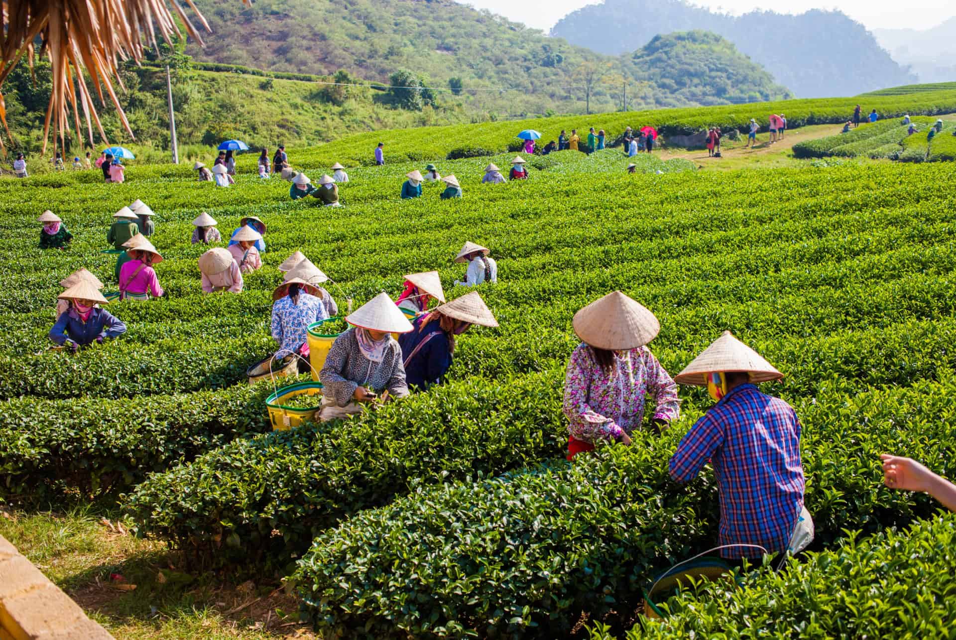 decouvrir le vietnam en octbre