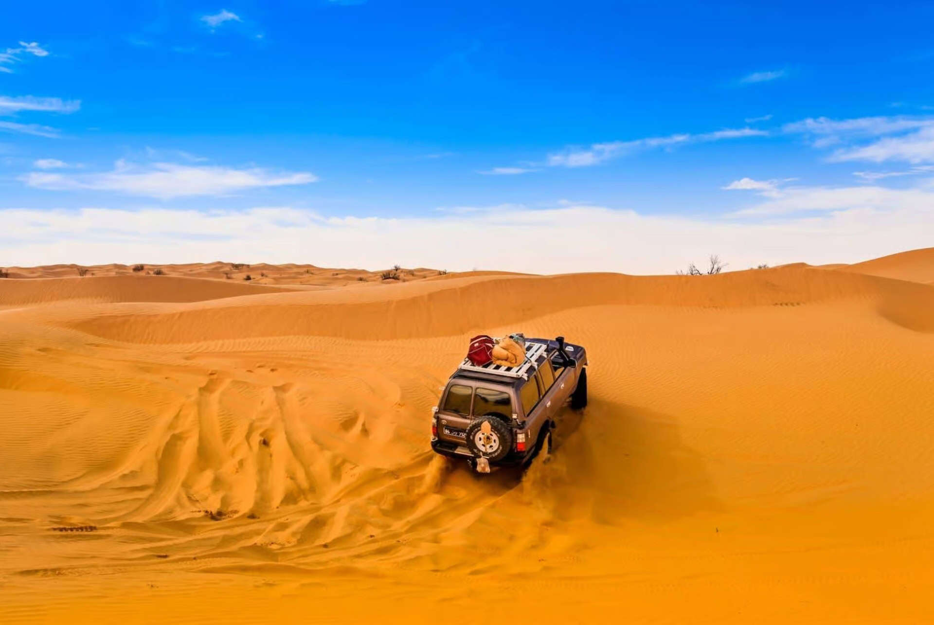 desert du sahara tunisie