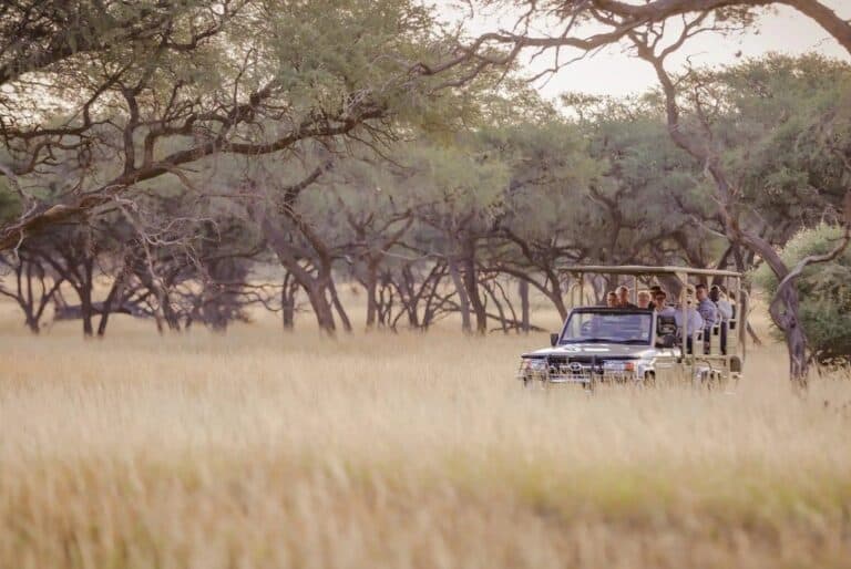 Excursion d'une journée à Okapuka Safari Lodge