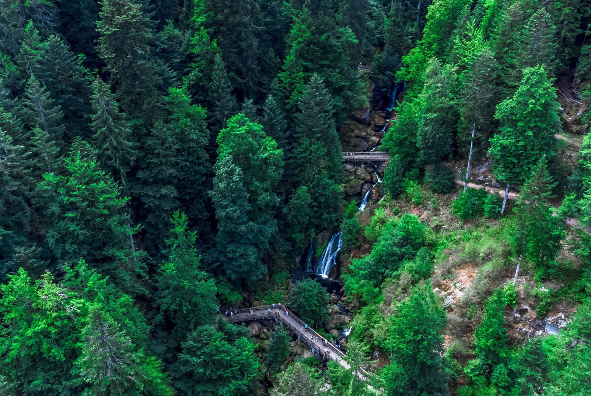 foret noire cascades triberg allemagne