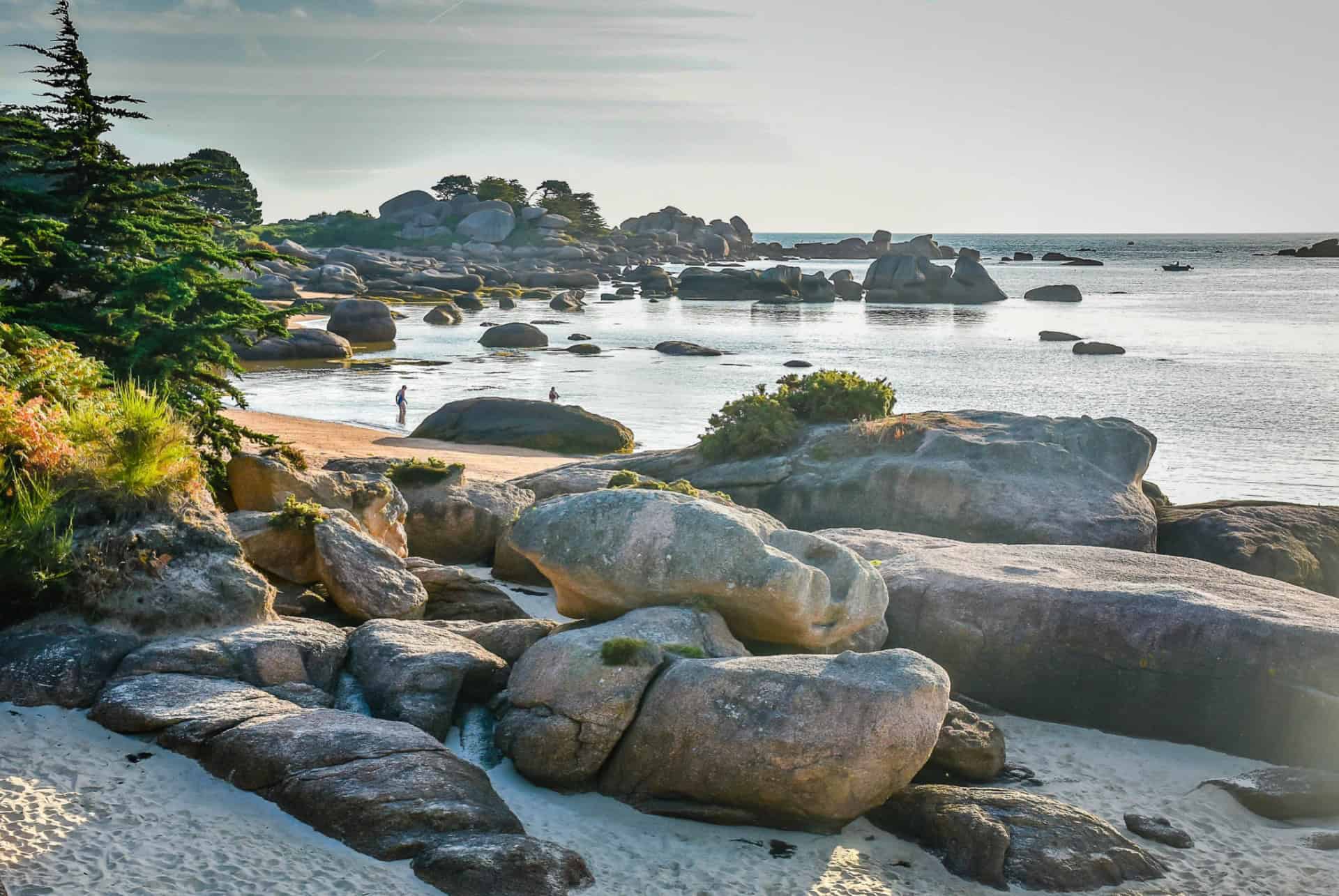 ile renote bretagne france