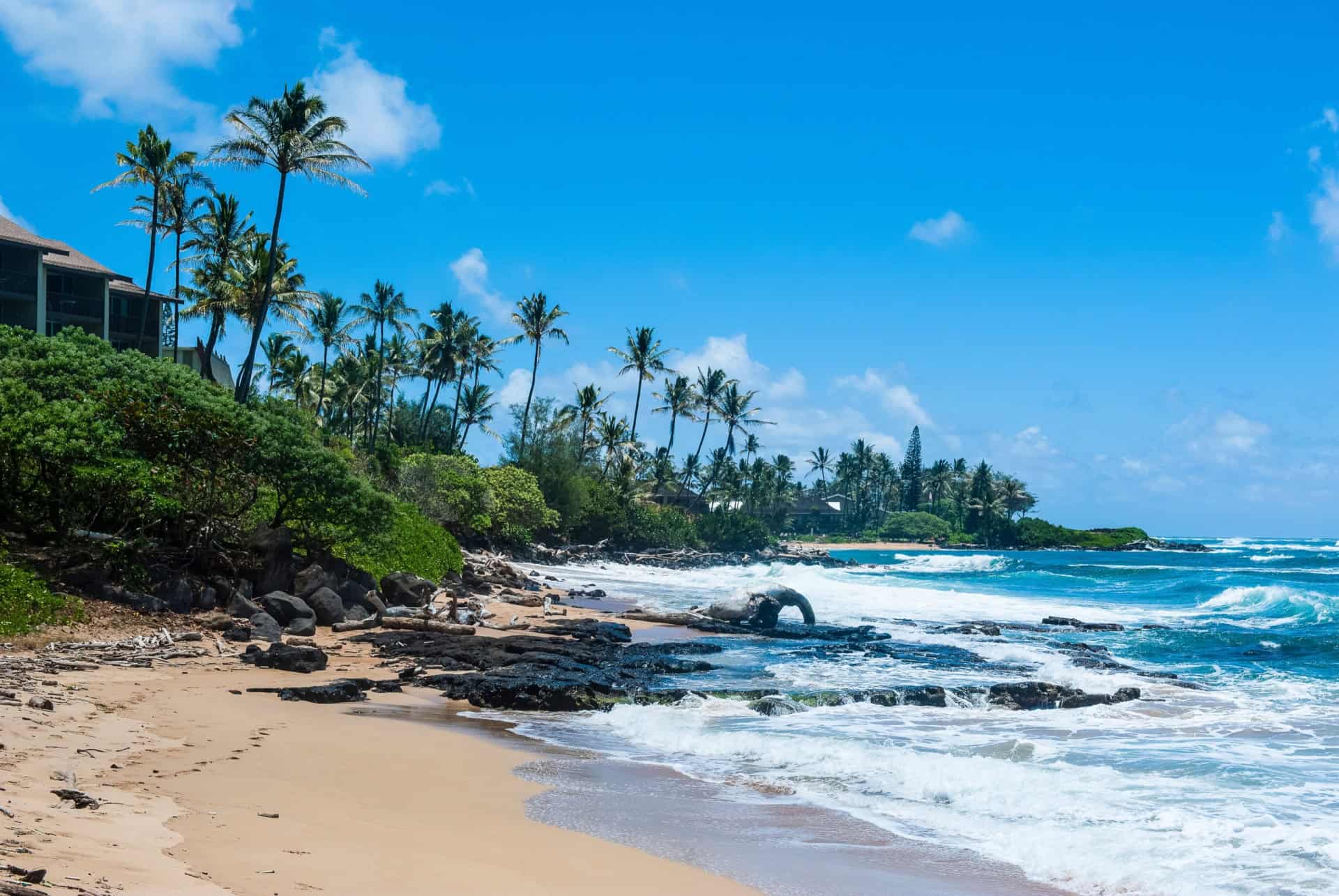 kapaa beach park kauai