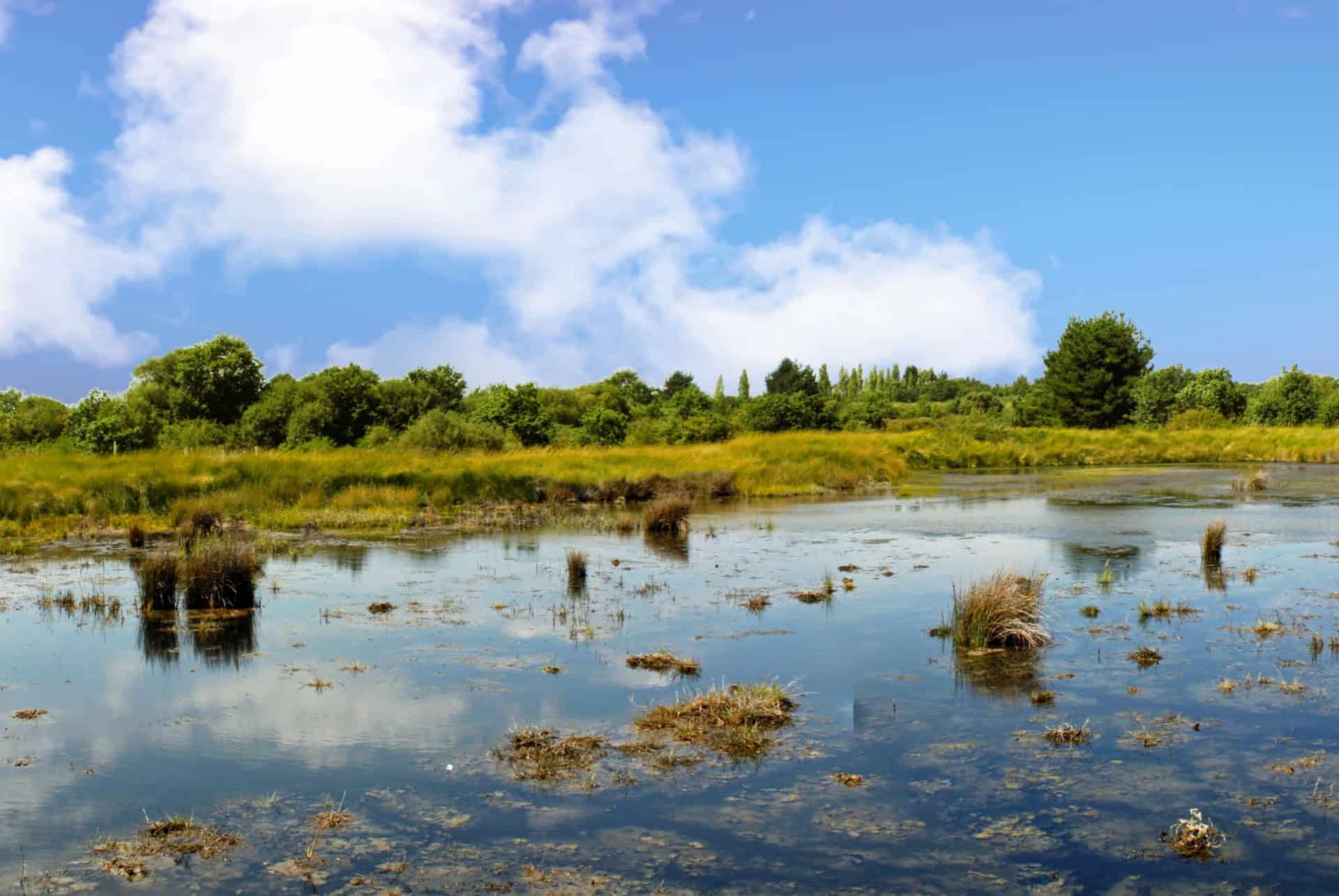 marais de sene bretagne