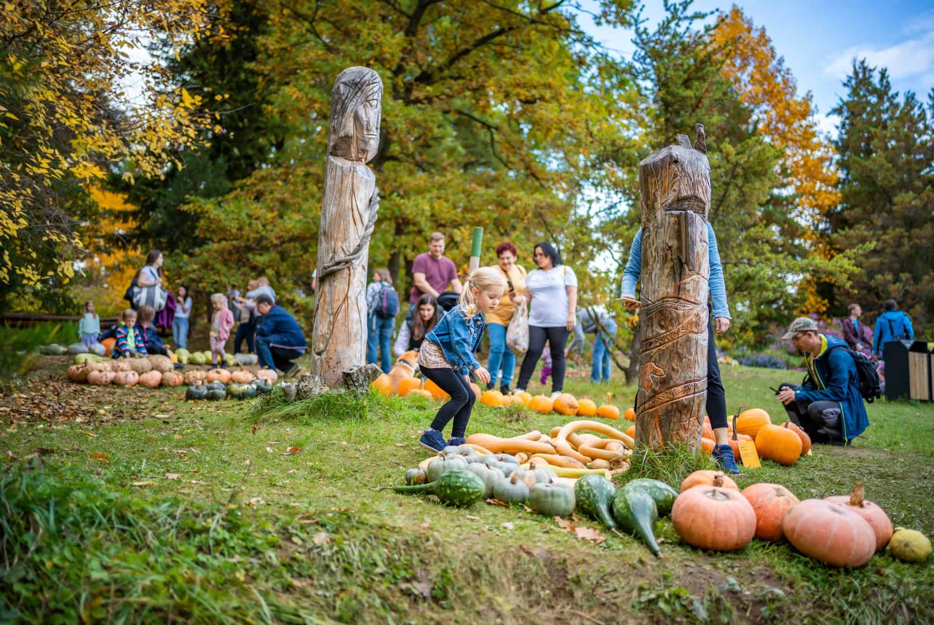 prague en octobre festival des citrouilles