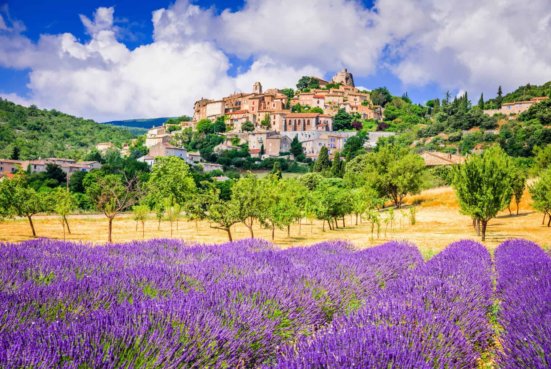 provence en septembre champ de lavande
