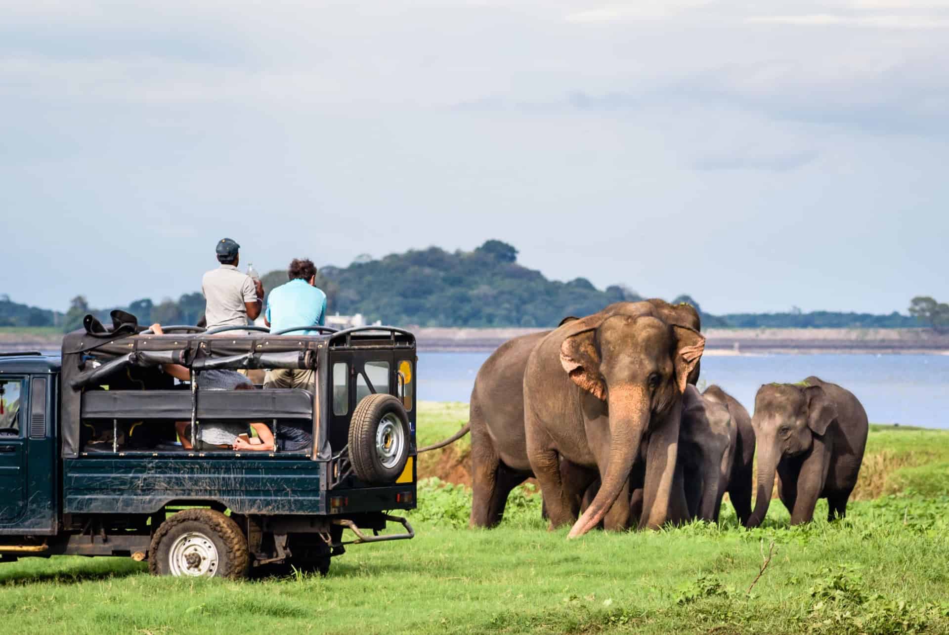 safari sri lanka en octobre