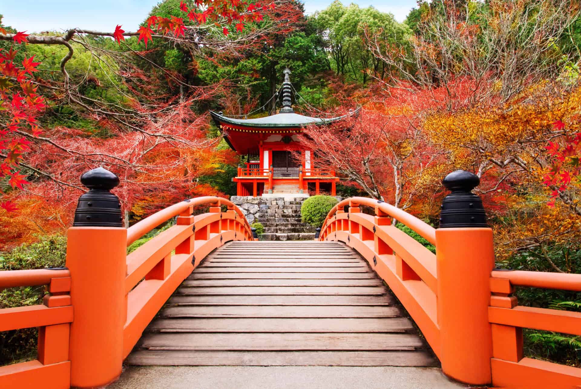 temple a kyoto