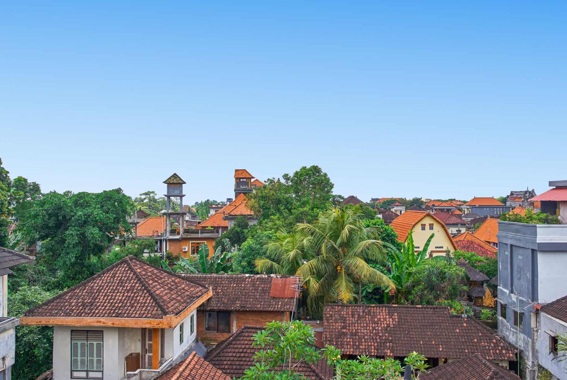 ubud centre