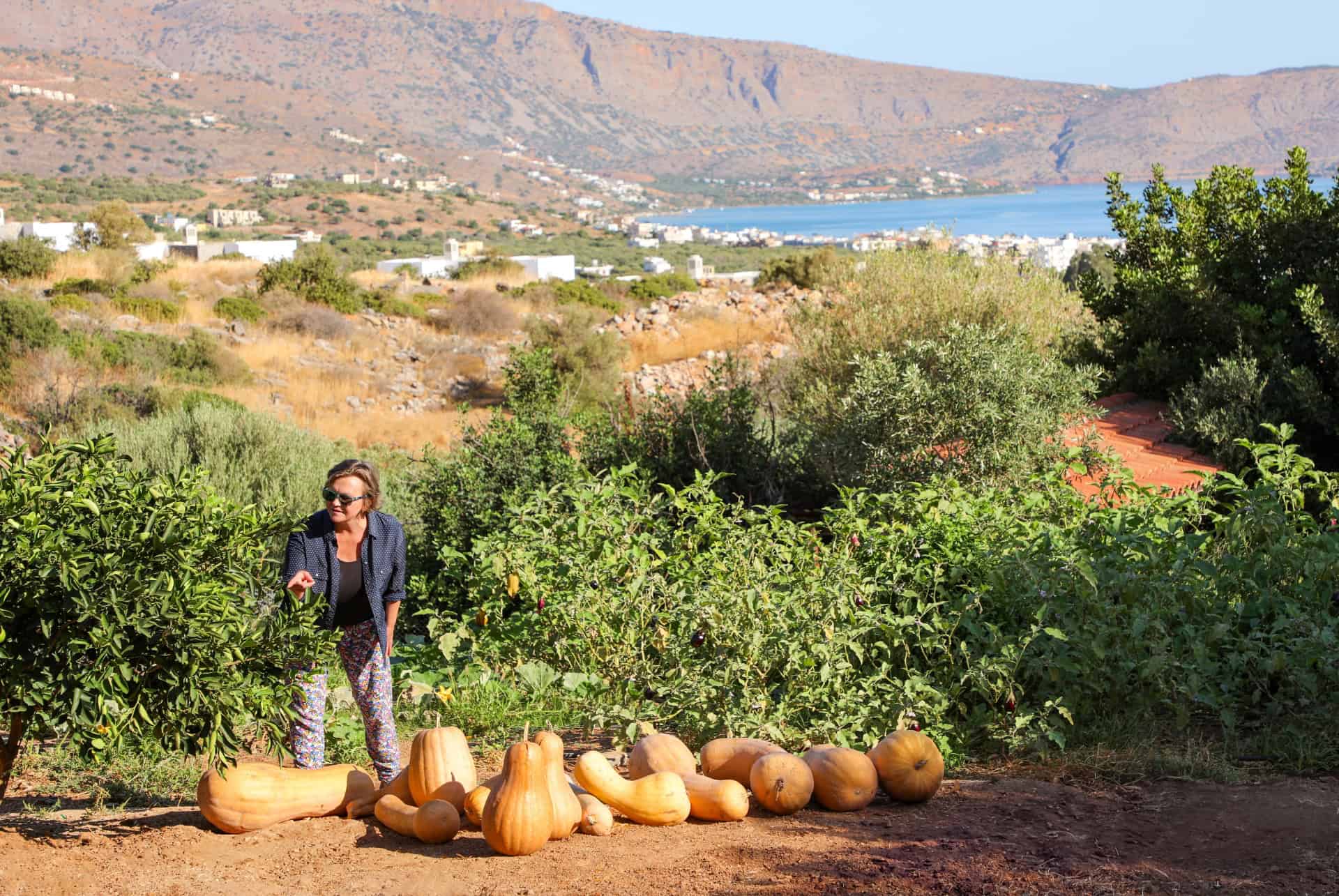 automne crete