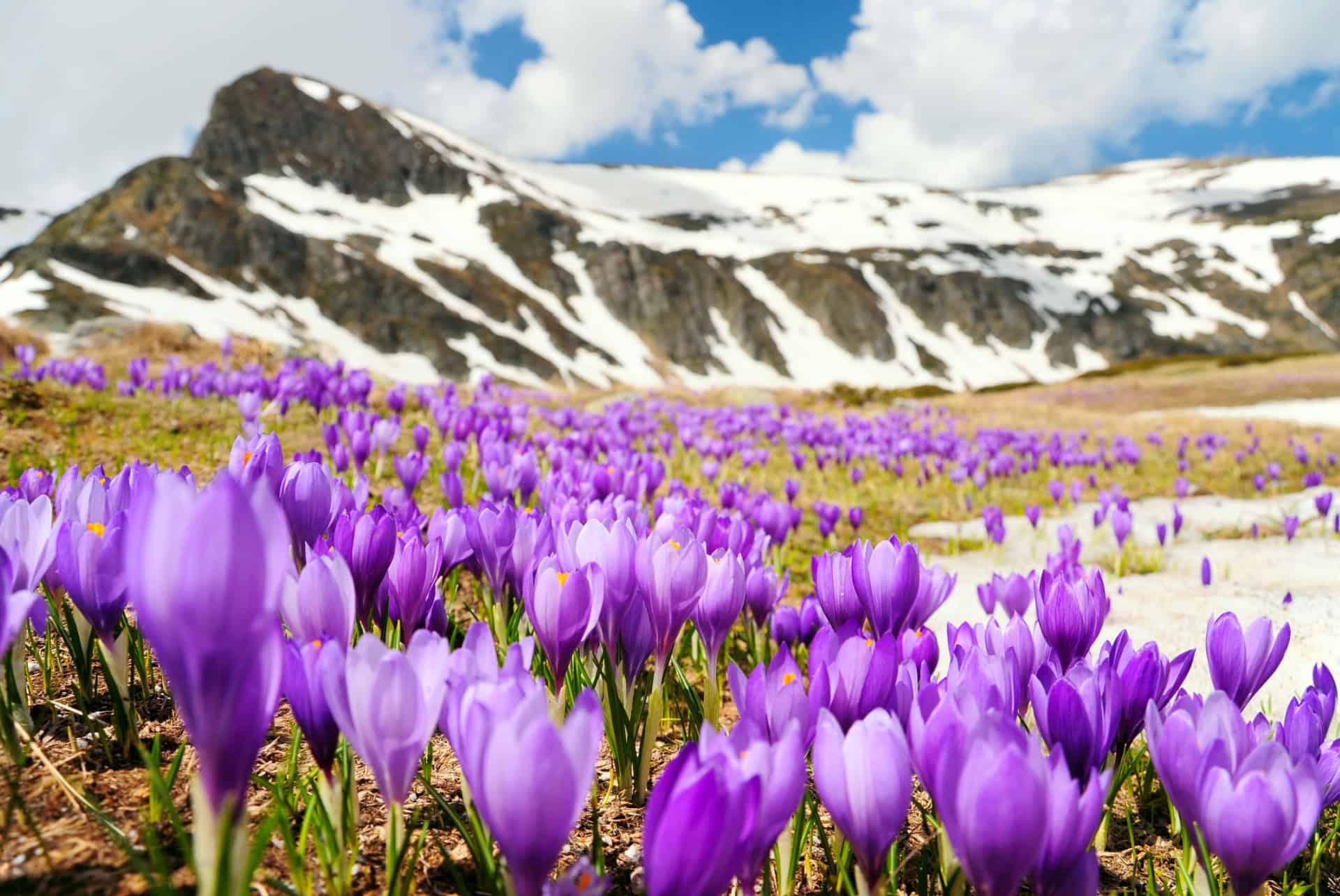 bulgarie en printemps bulgarie en printemps