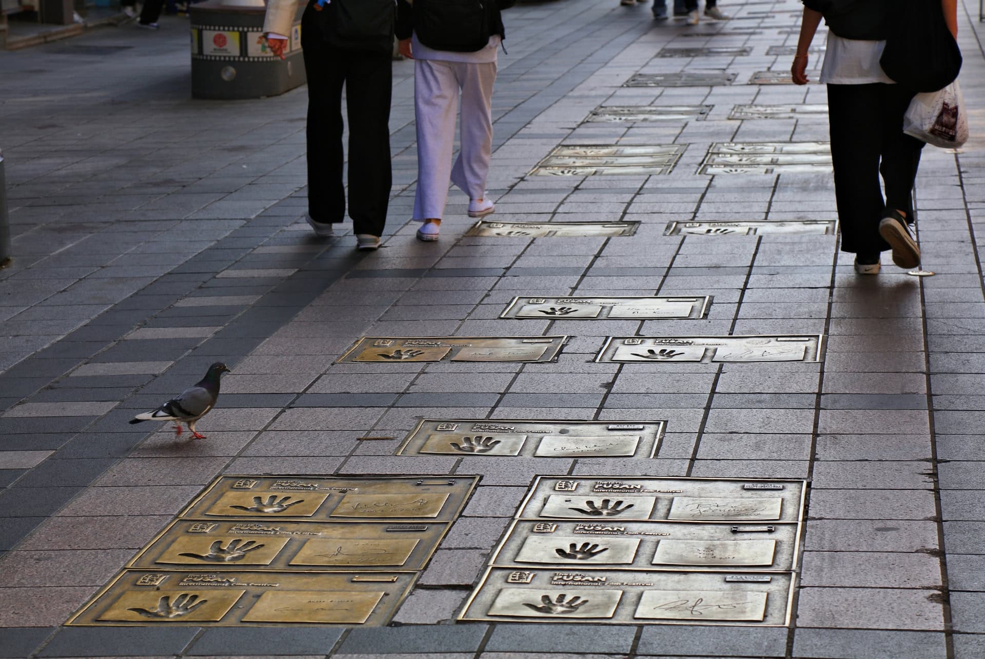 busan biff square