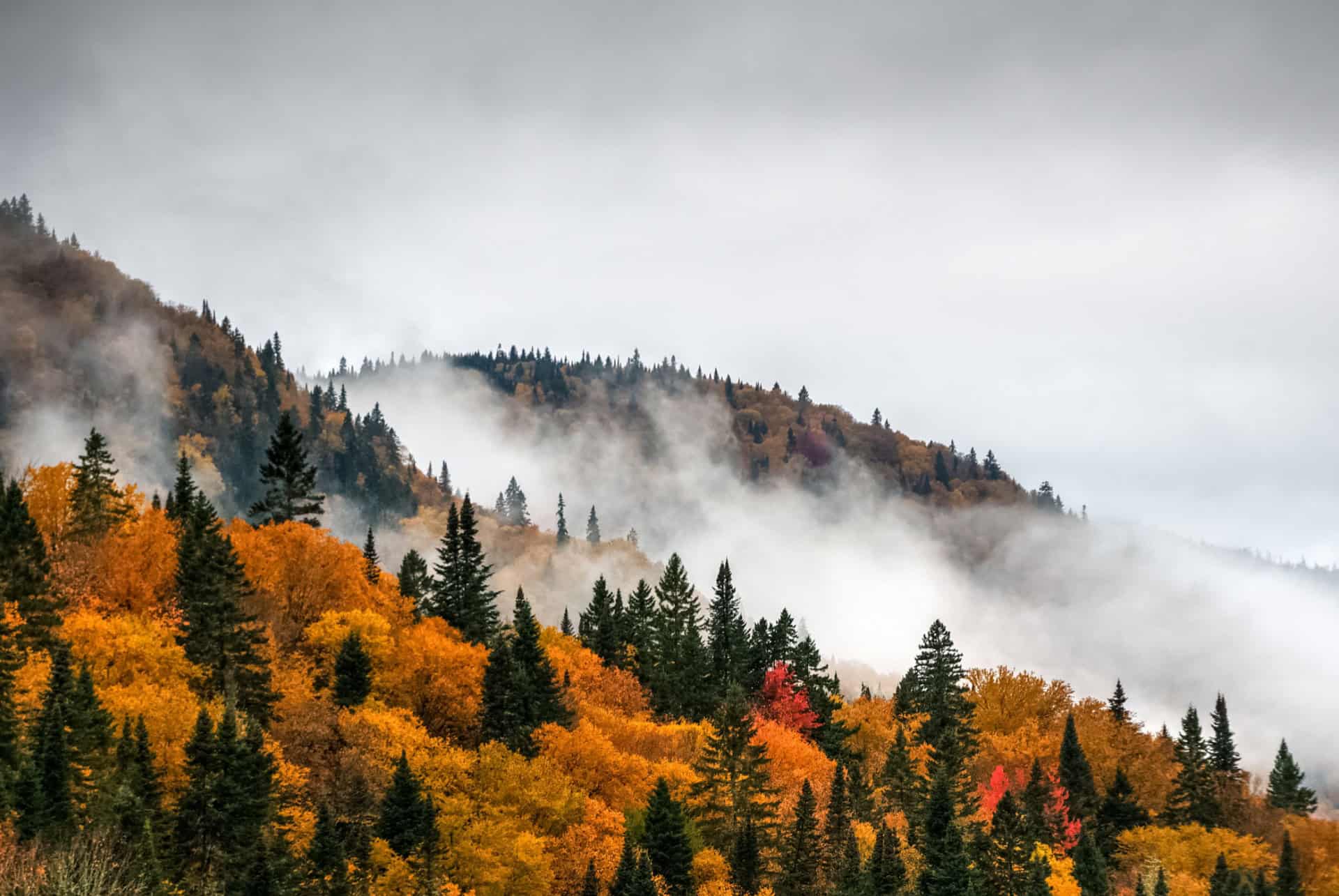 canada