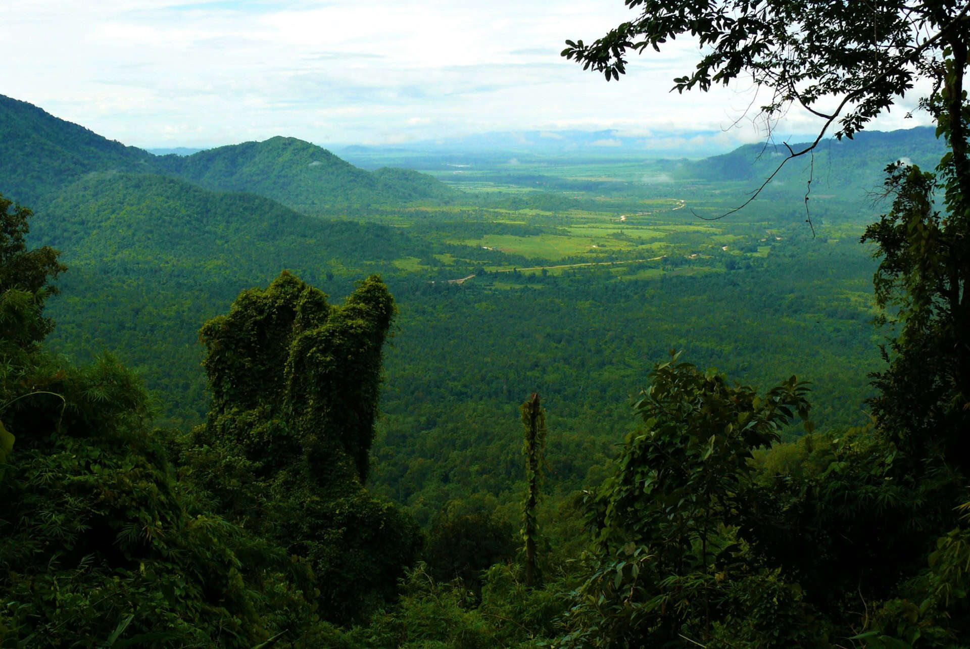 cardamomes montagnes cambodge