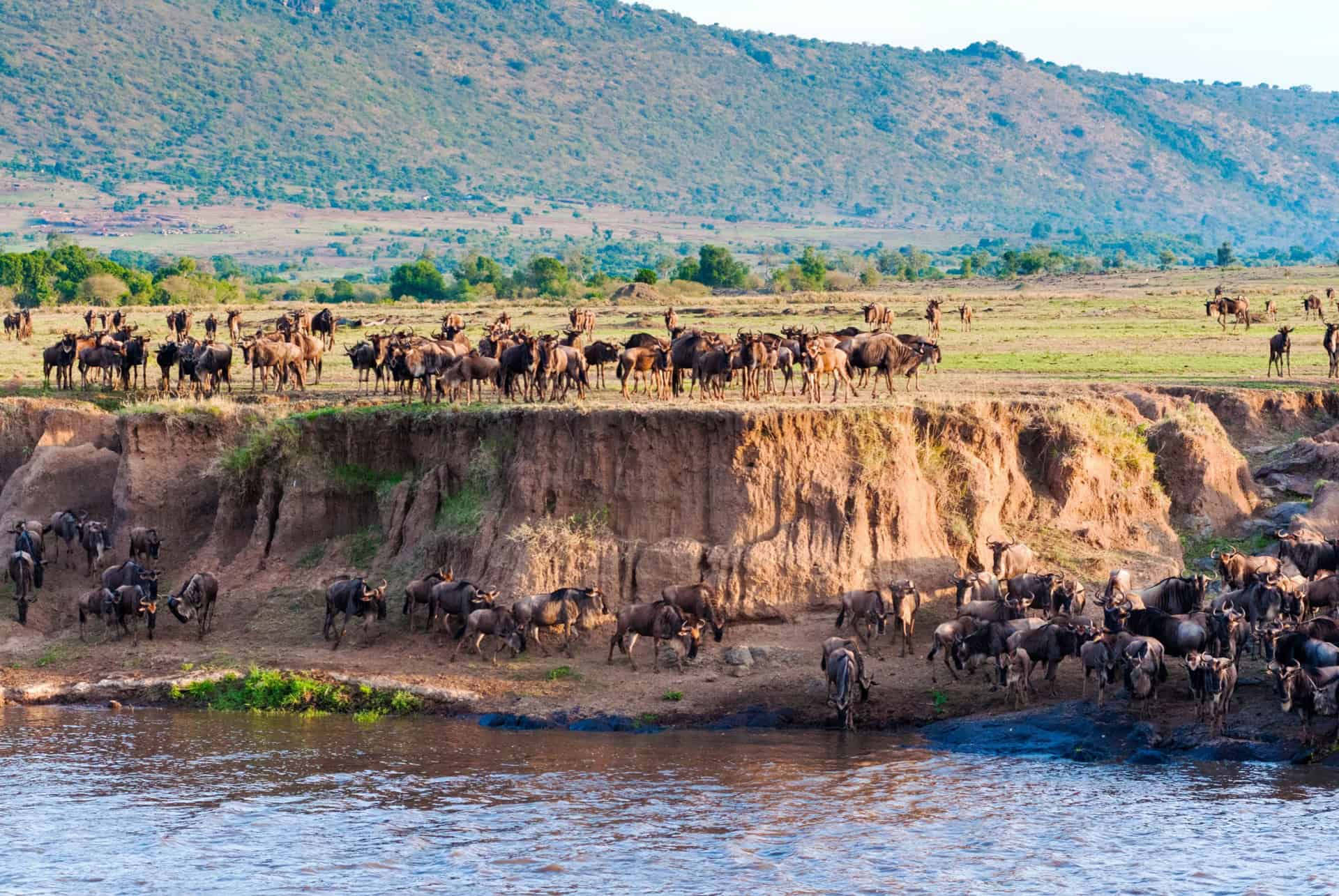climat reserve