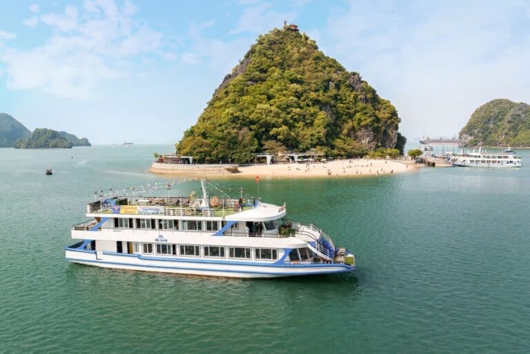 Croisière d'une journée dans la baie d'Halong