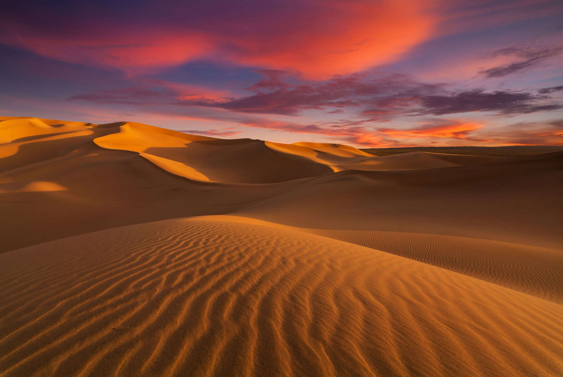 dunes de sable du sahara