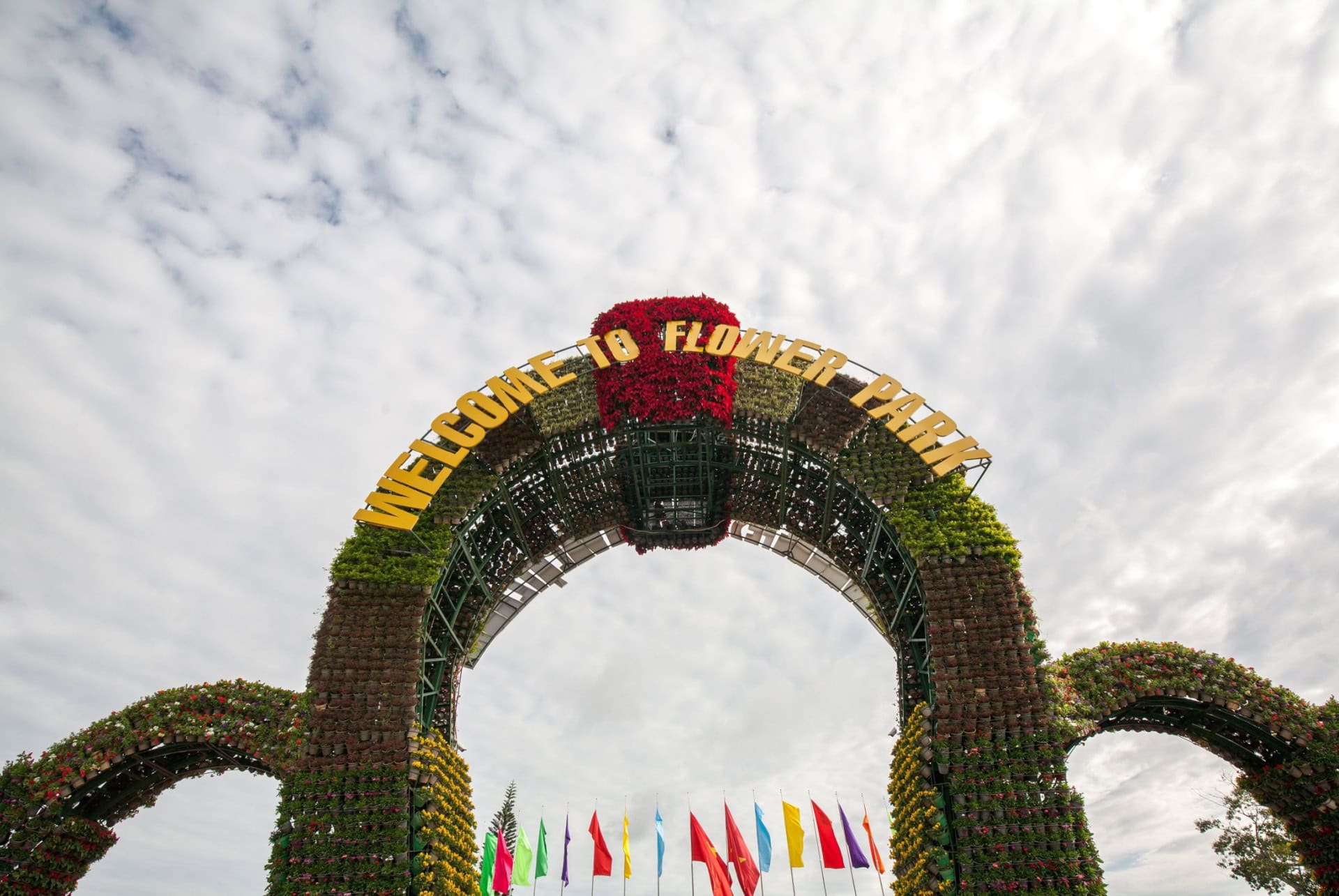 festival des fleurs de da lat