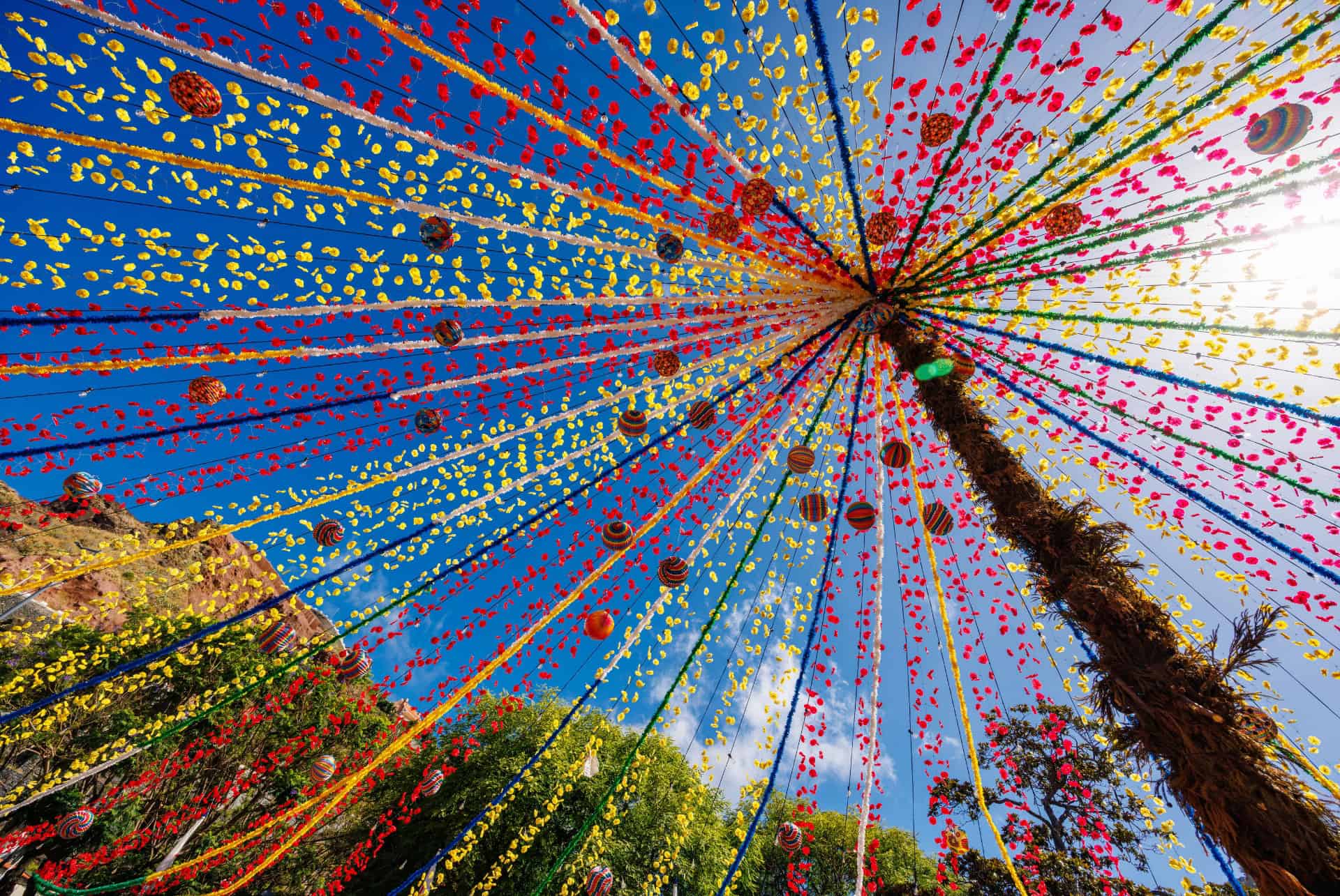fête des vendanges madère