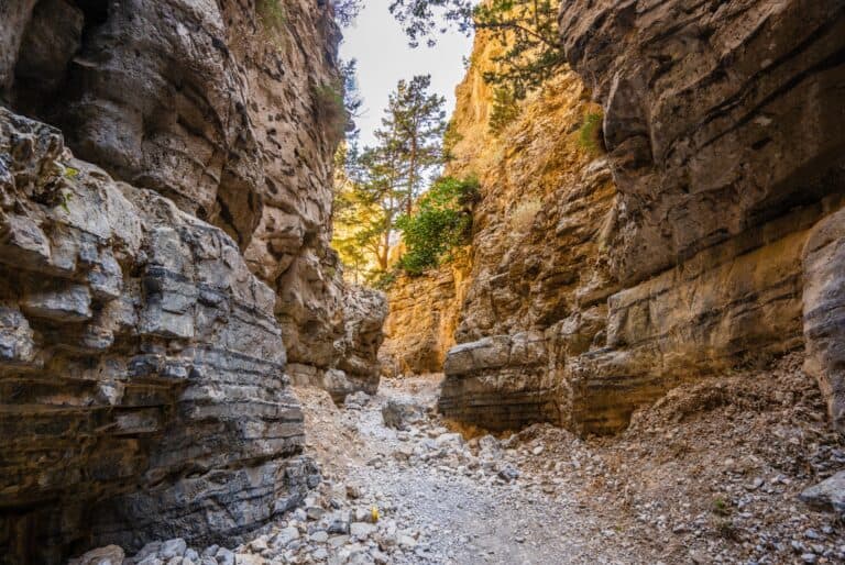 Randonnée guidée dans les gorges d'Imbros