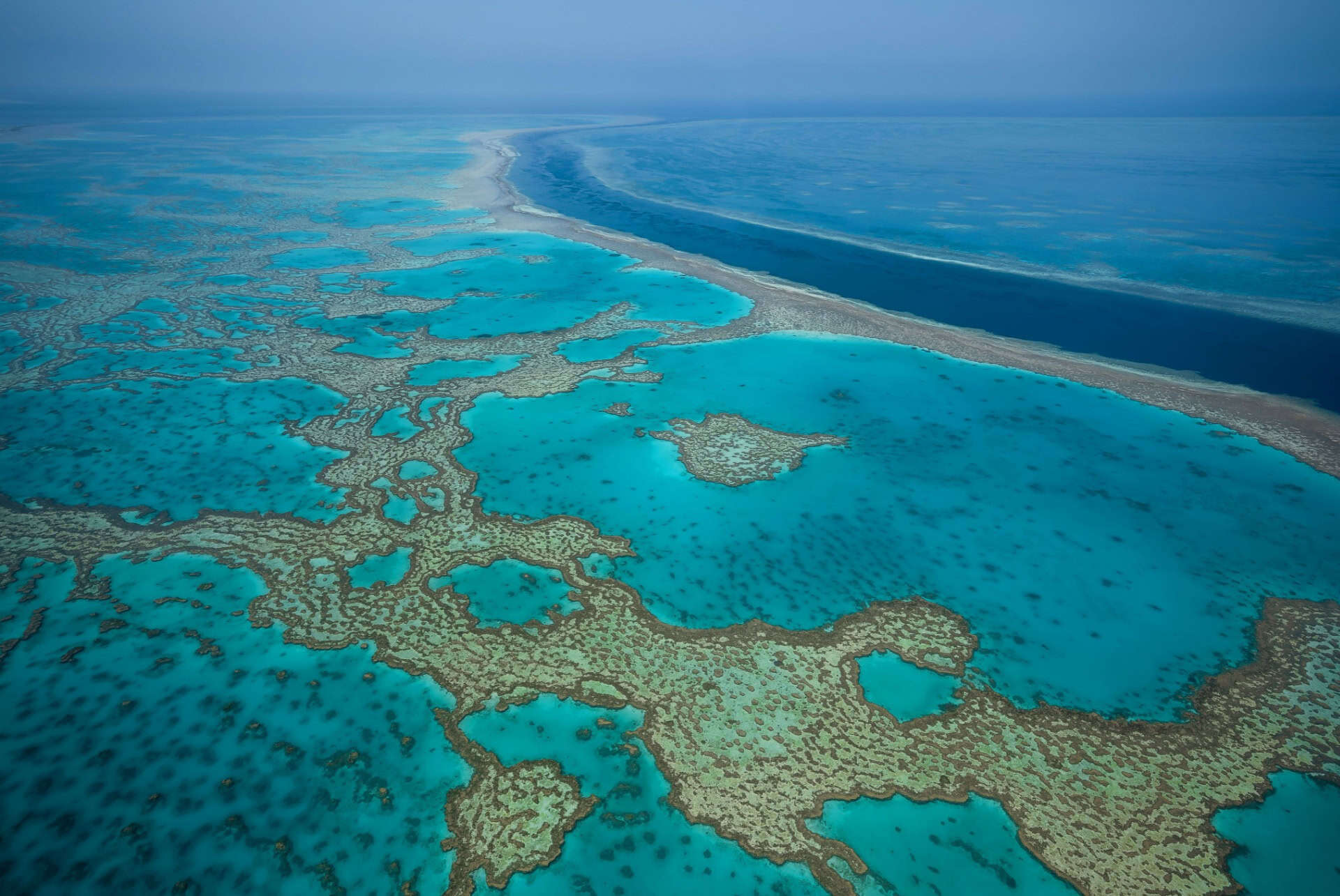 grande barriere de corail