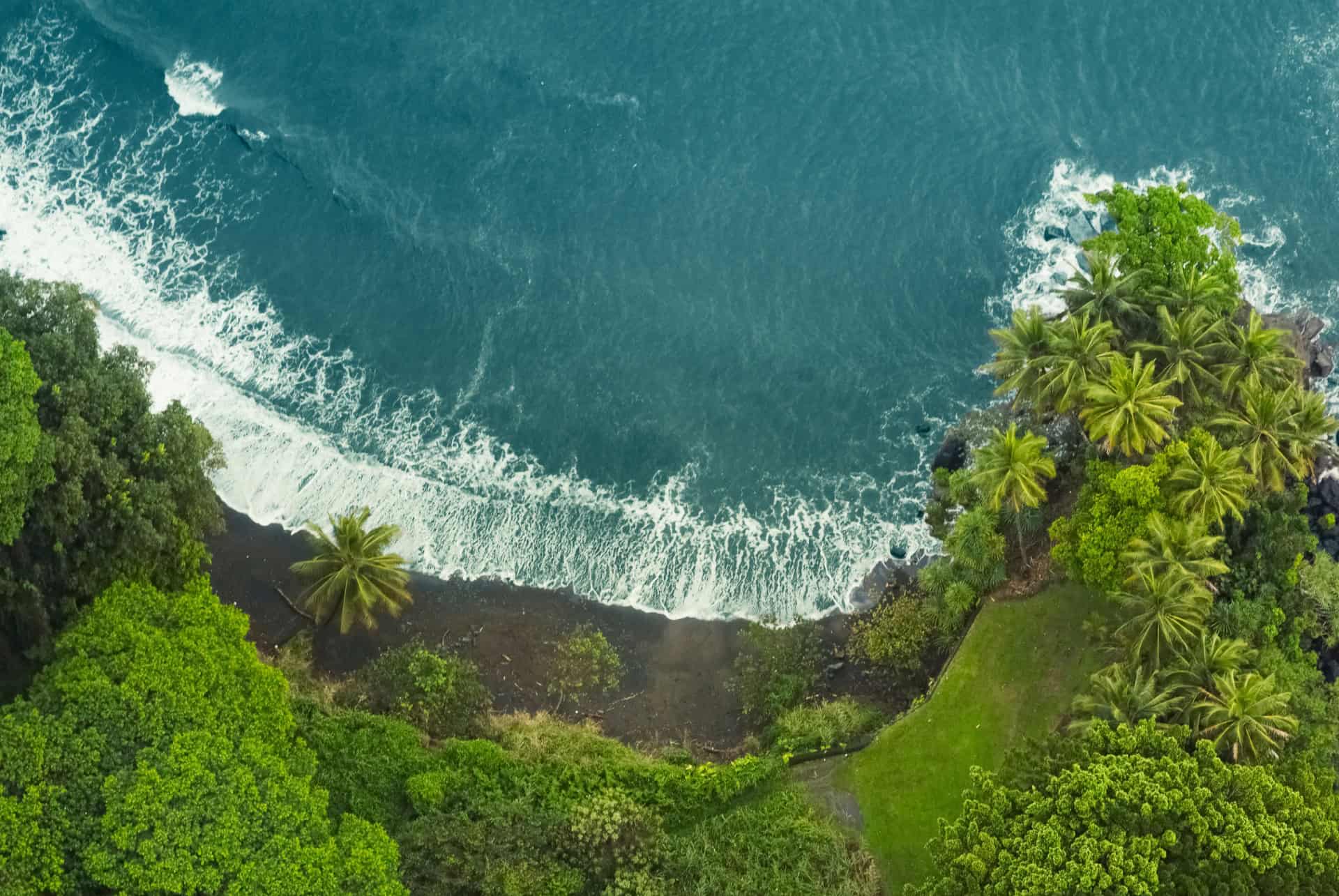 hawai en novembre