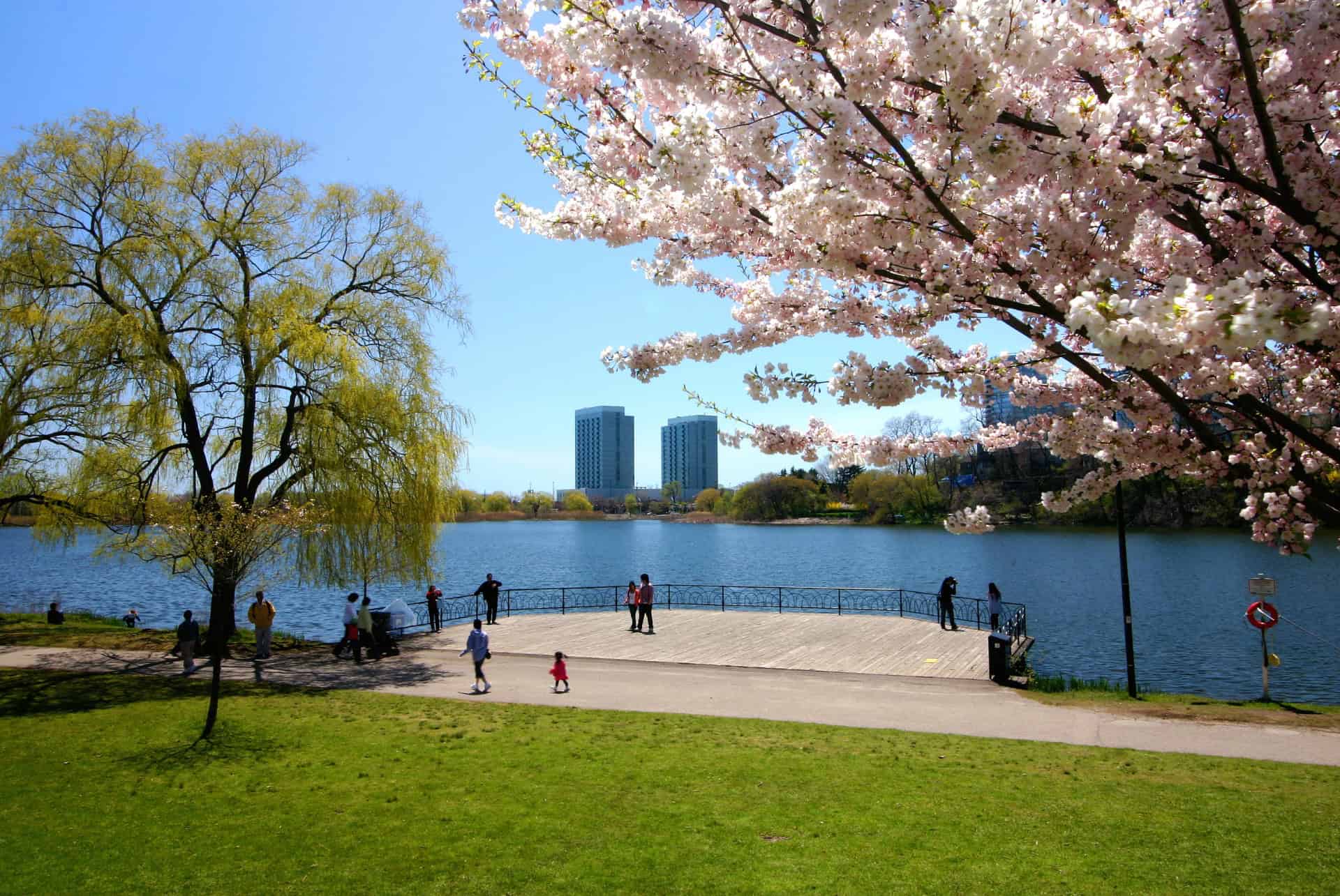 high park toronto canada