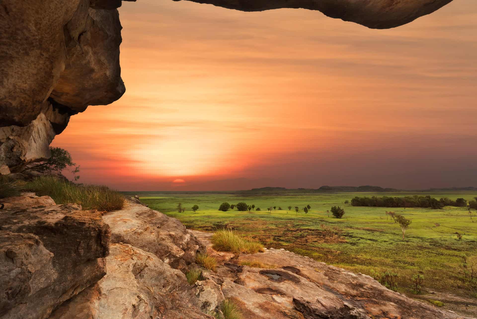 histoire kakadu