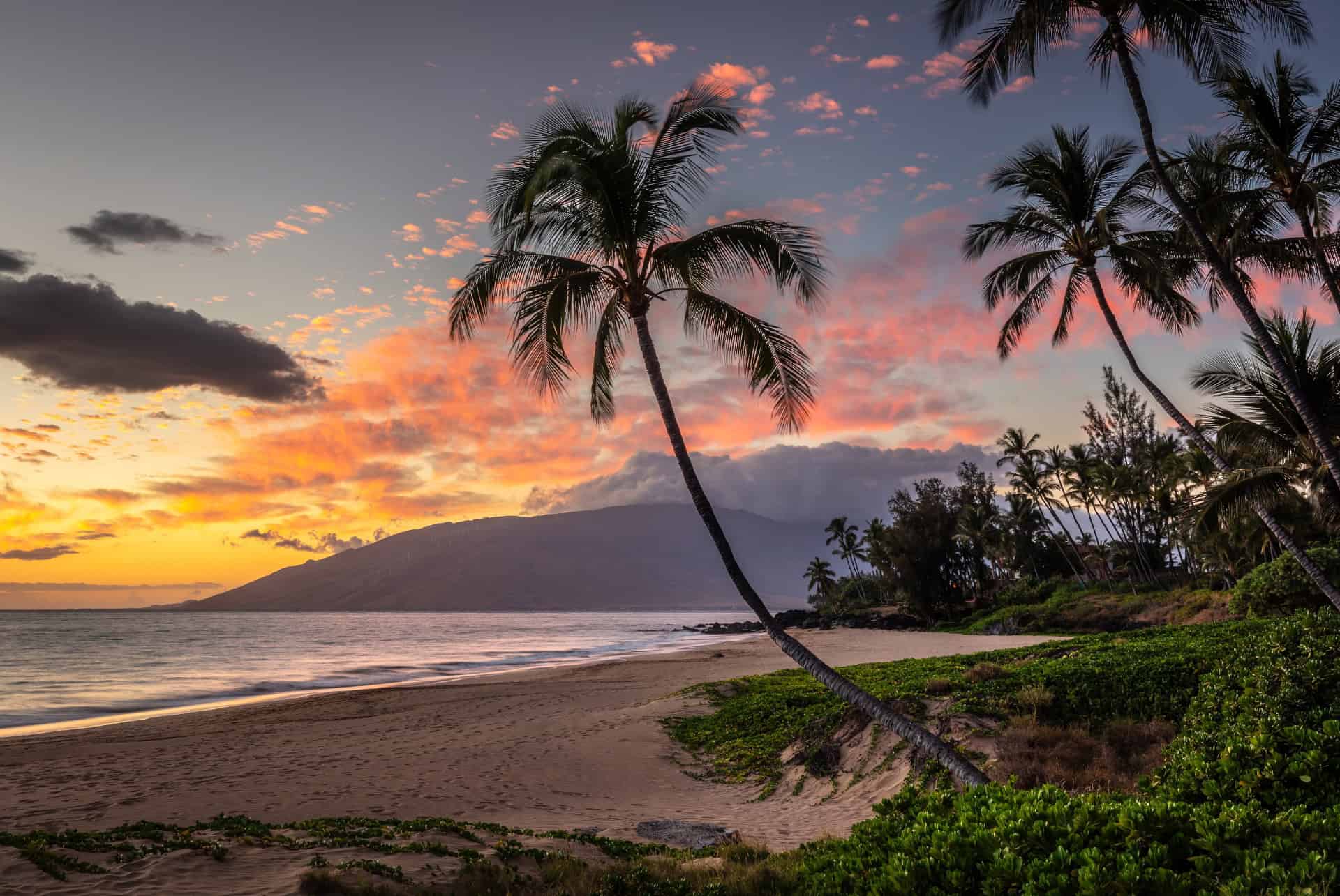 ile maui prix dun voyage a hawaii