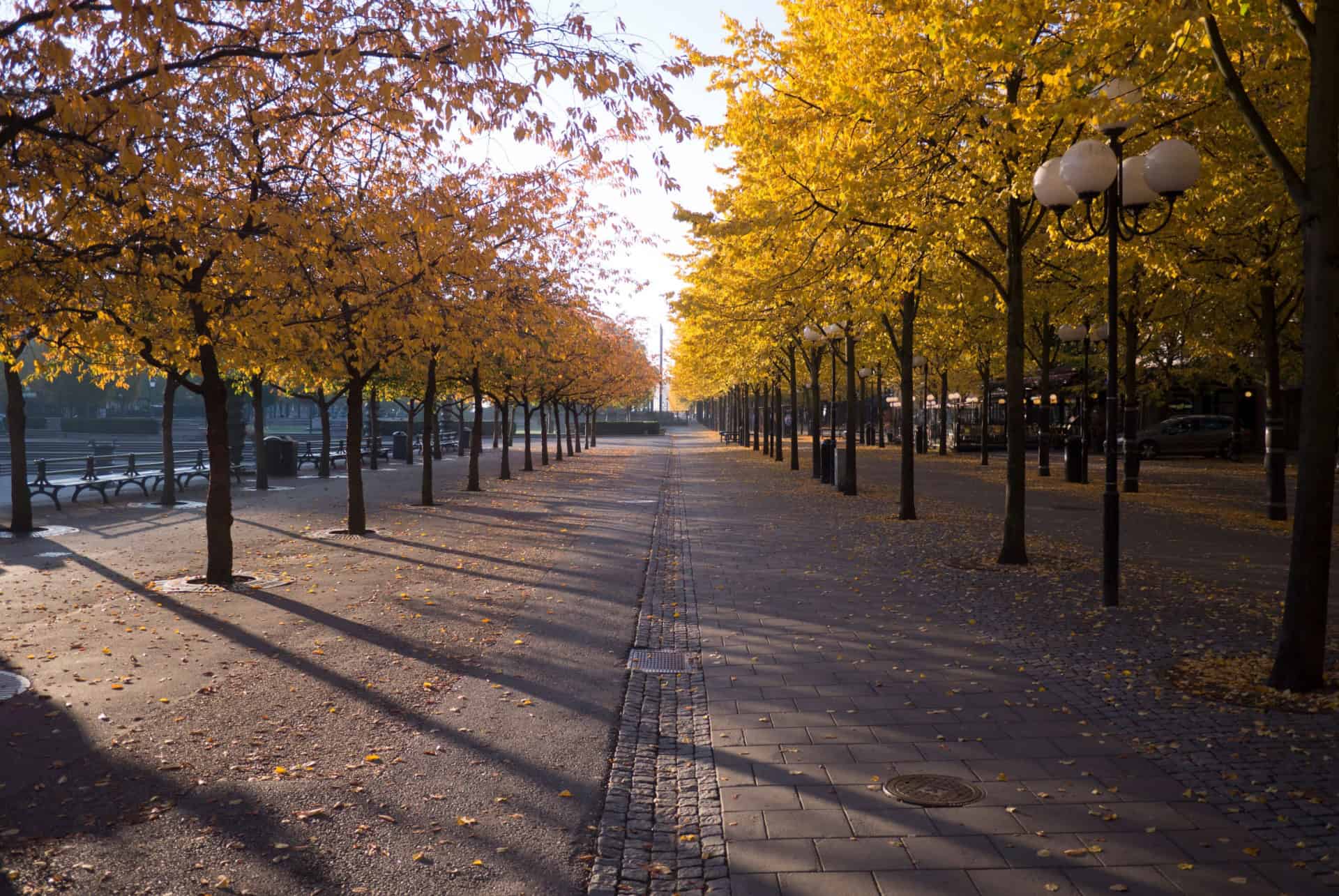 kungstradgarden