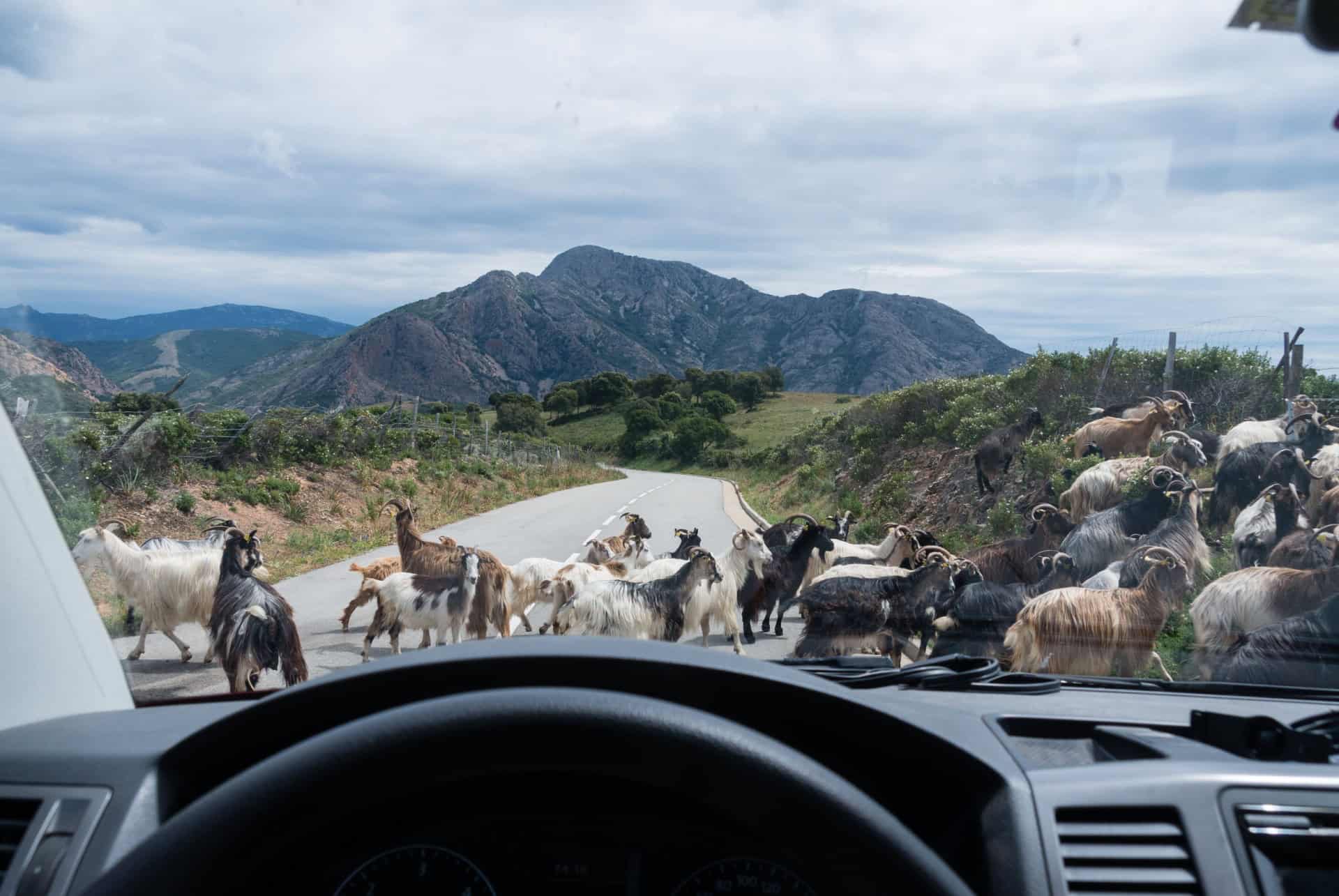 les routes en corse