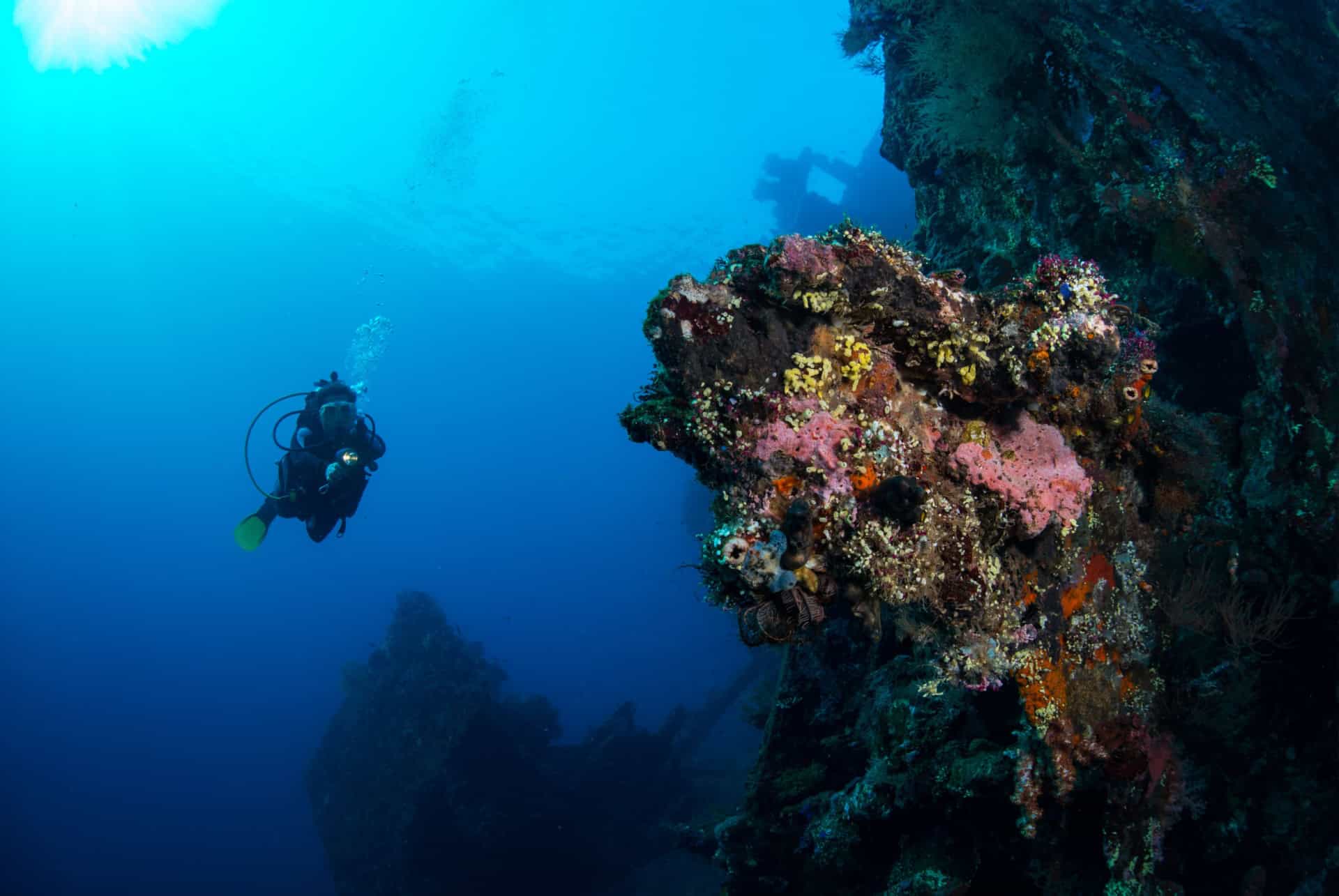 liberty ship indonesie