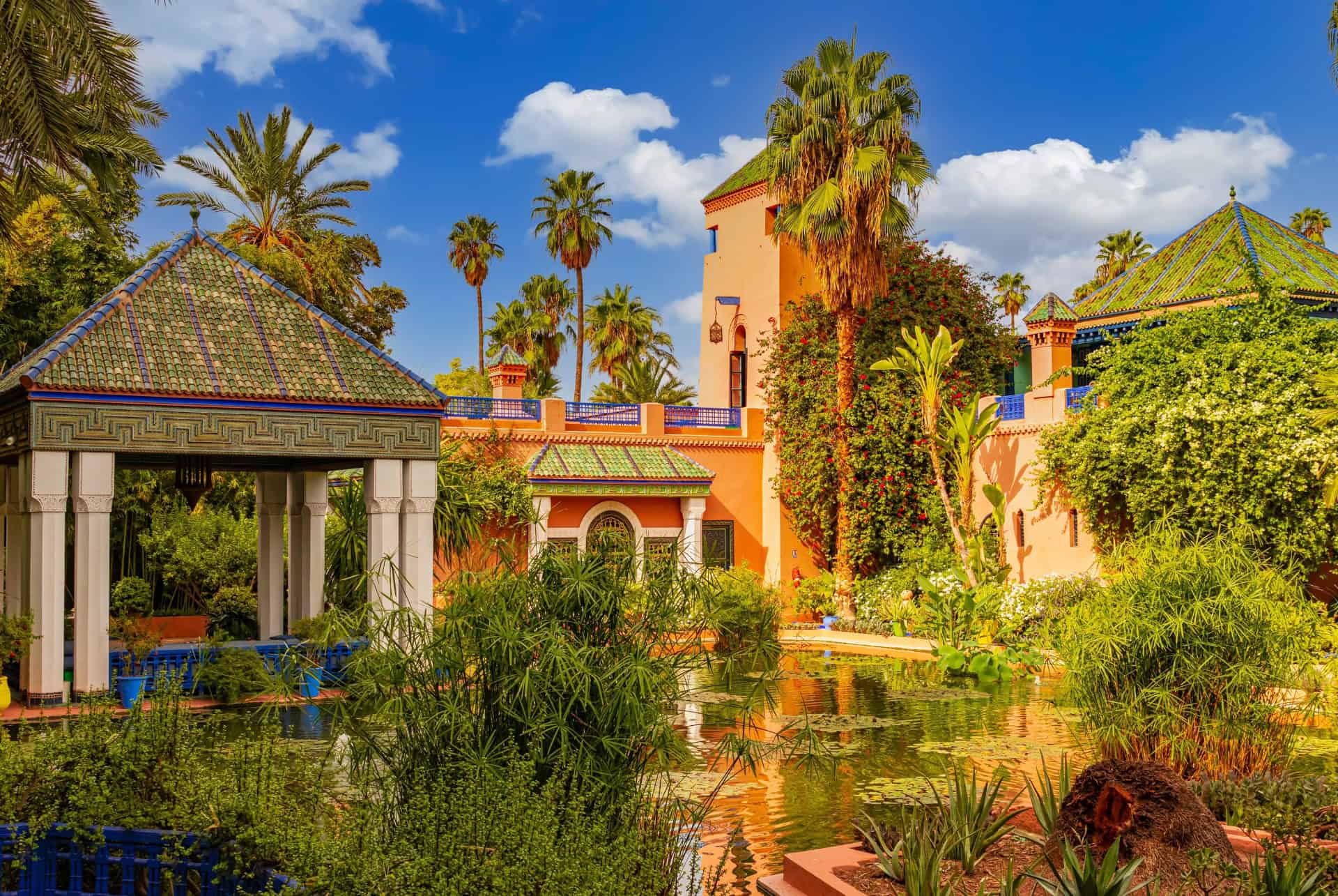 marrakech en novembre box activites