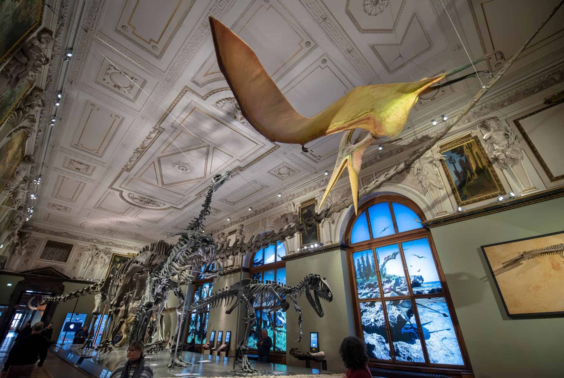 musee d'histoire naturelle vienne musee d'histoire naturelle vienne