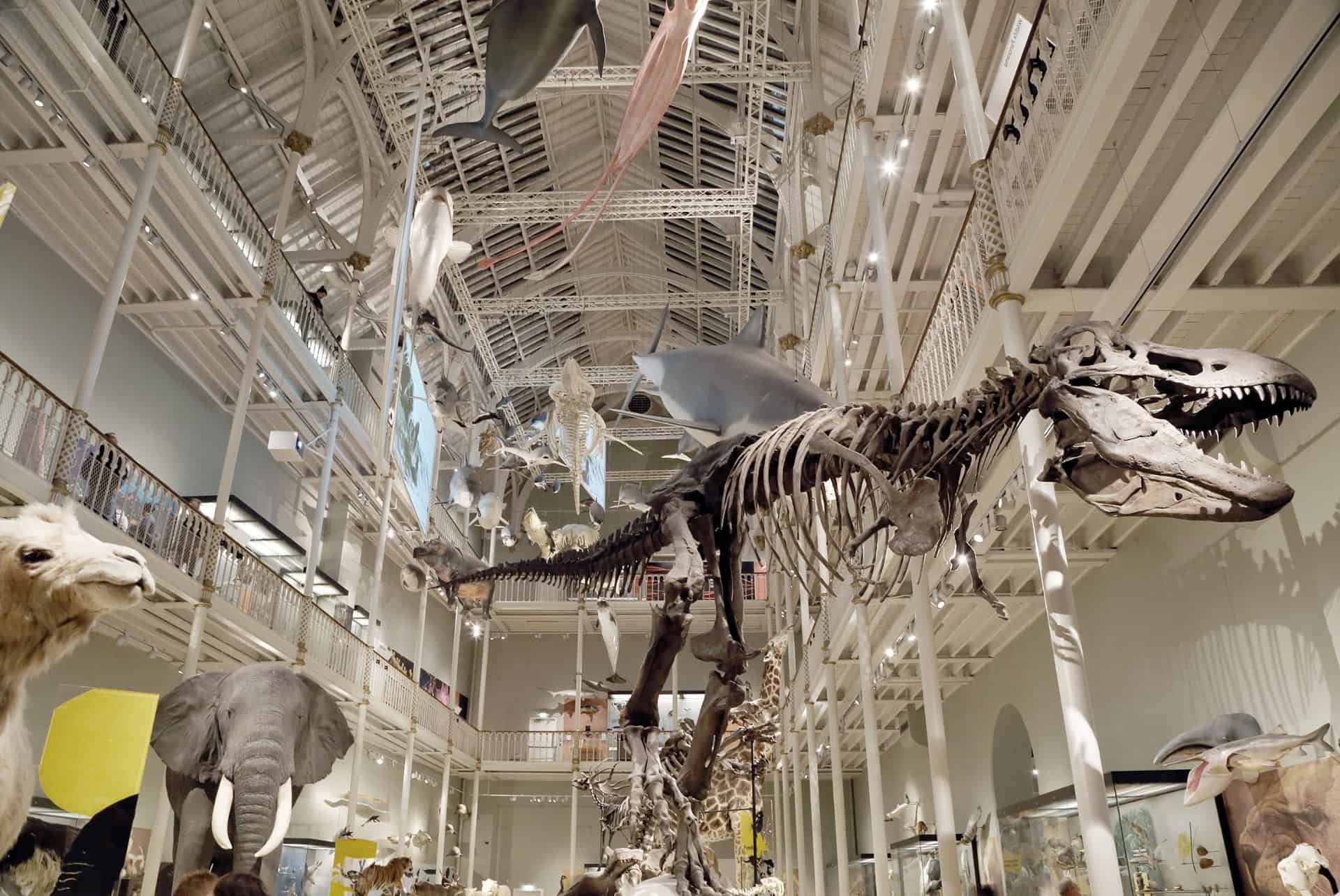 musees edimbourg nms