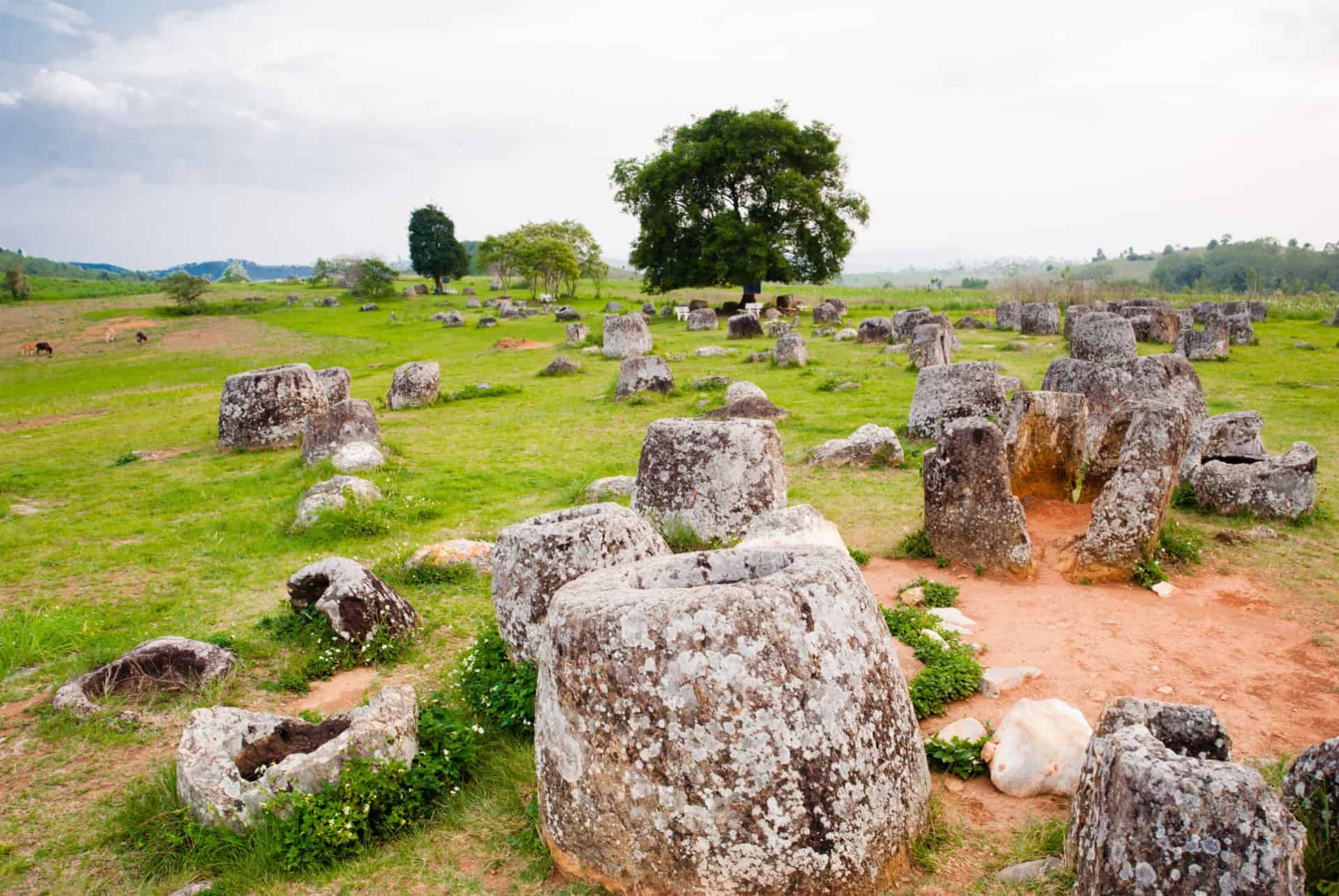 plaine des jarres laos