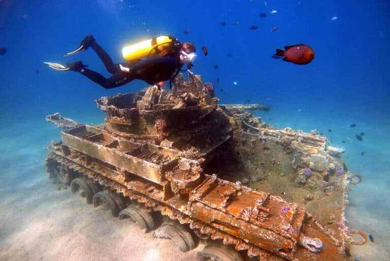 Plongée privée en Mer Rouge à Aqaba