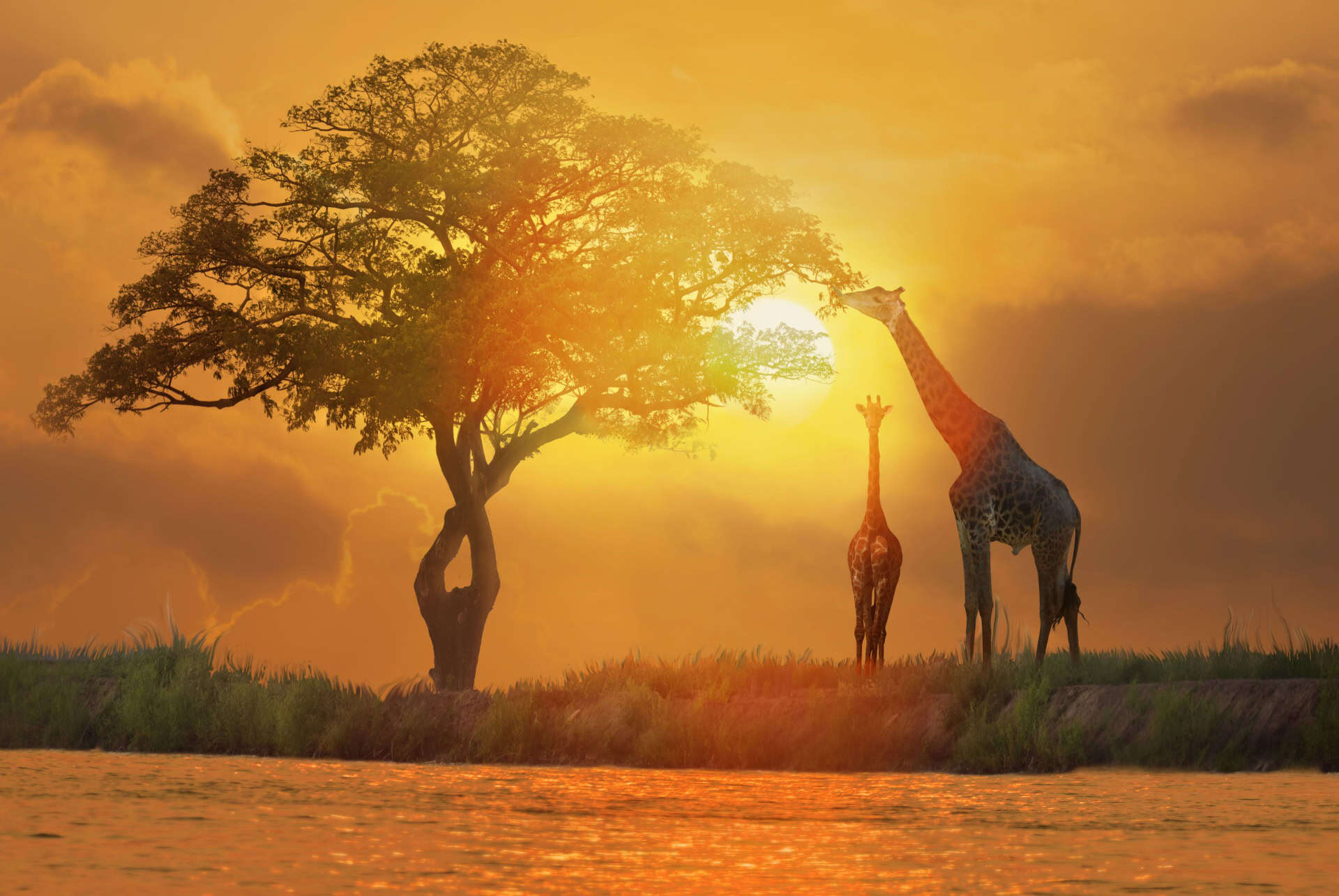 plus beaux paysages du monde parc national serengeti