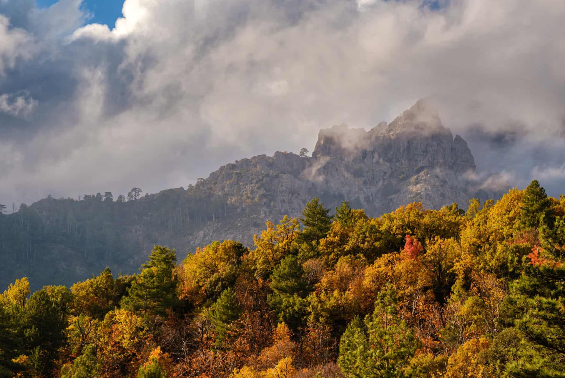 automne