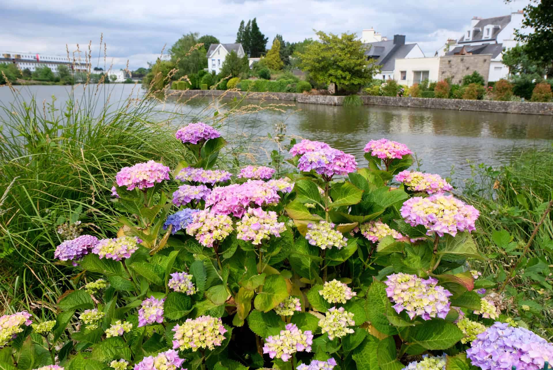 quartier de la gare etang du duc de la marle