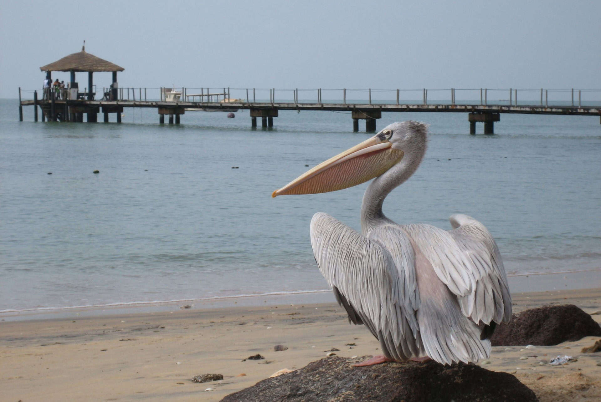 saly-portudal que faire au senegal saly-portudal que faire au senegal