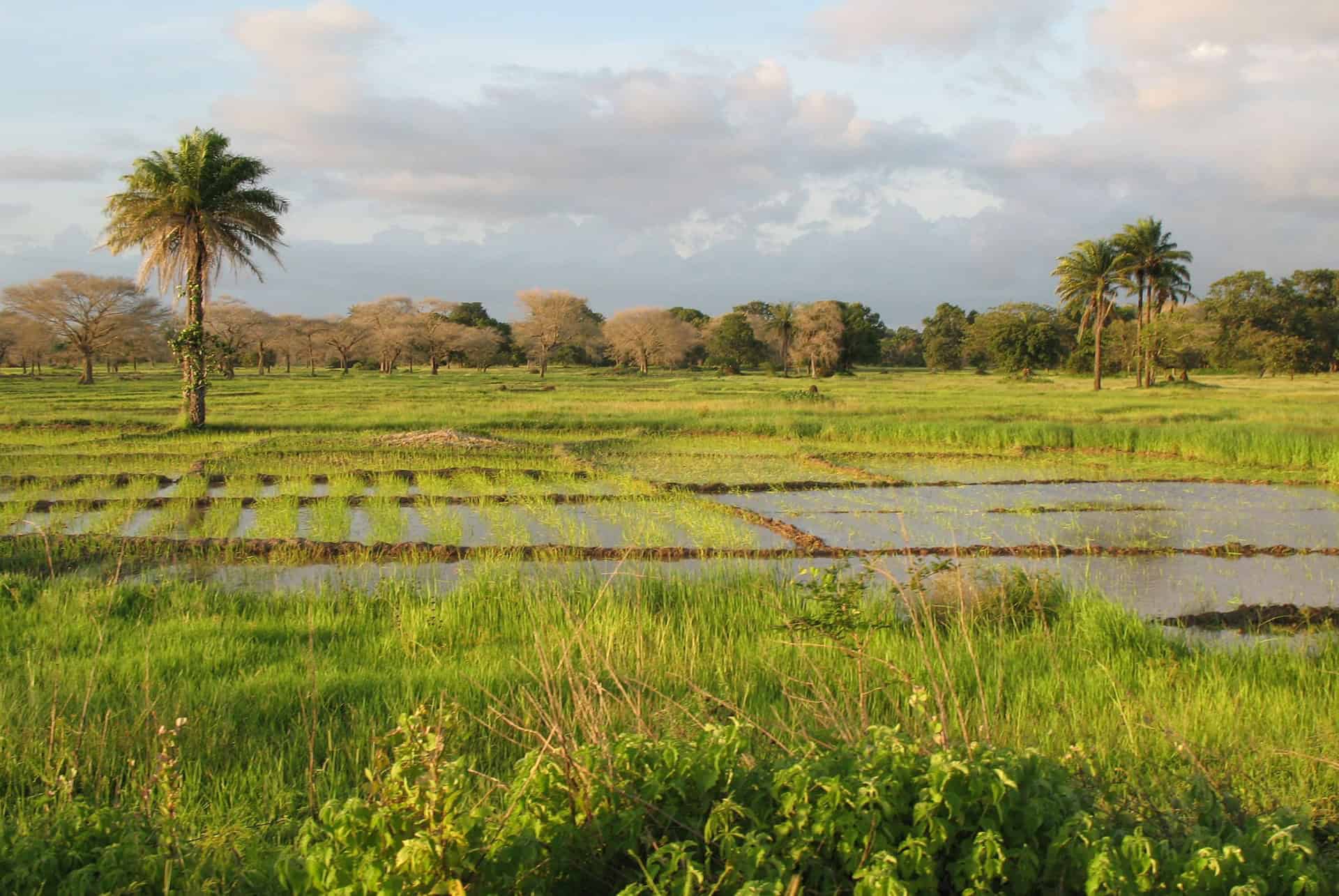 senegal region casamance senegal region casamance