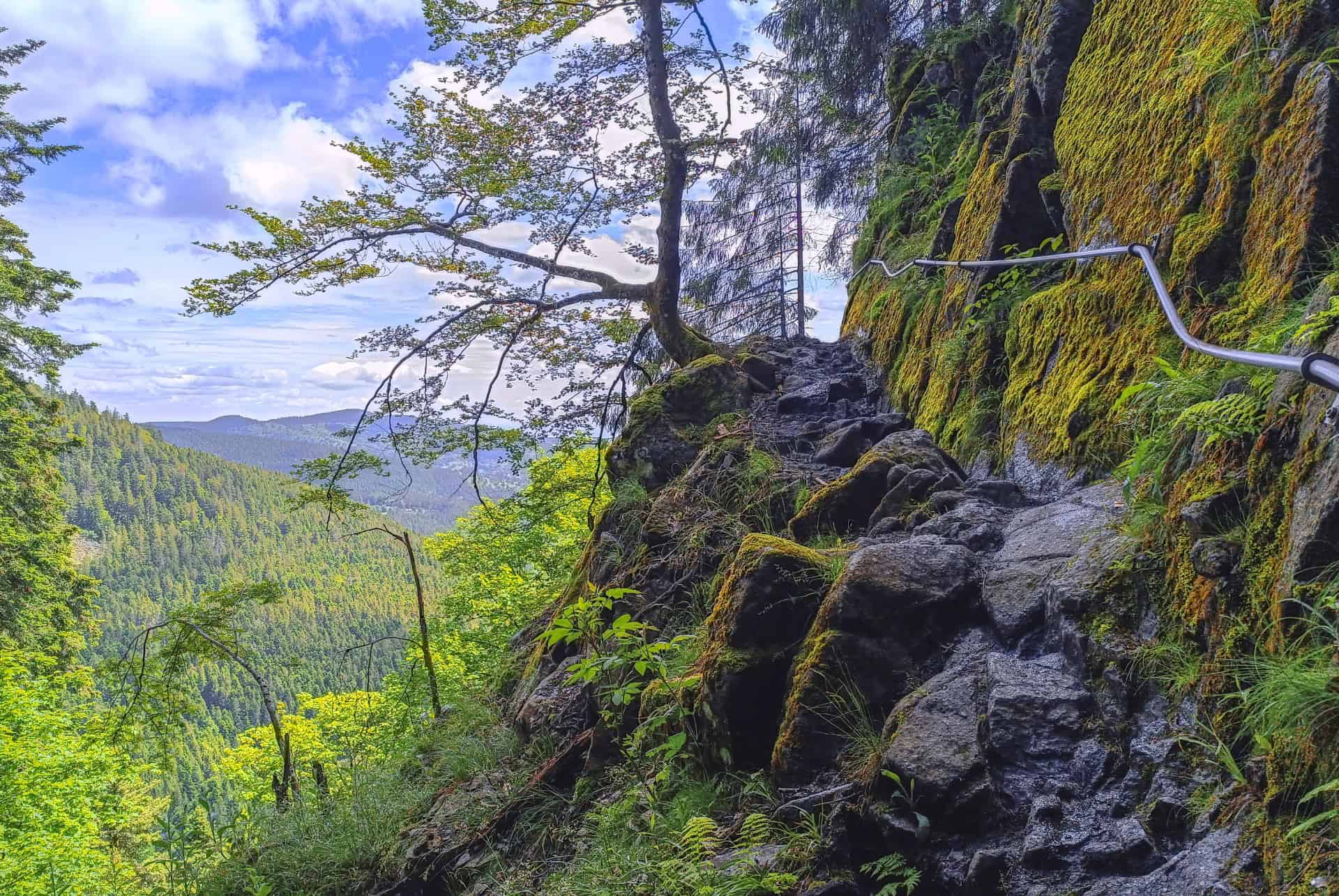 sentiers des roches vosges