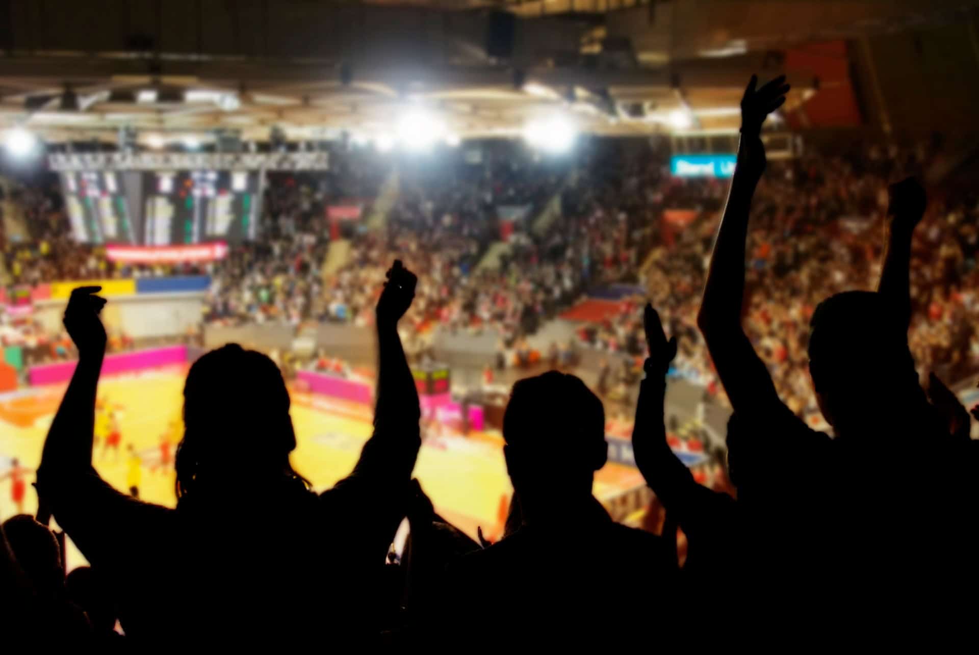 stade basket stade basket