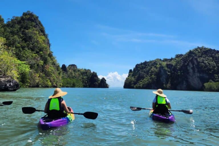 Excursion en kayak dans la mangrove de Kilim à Langkawi