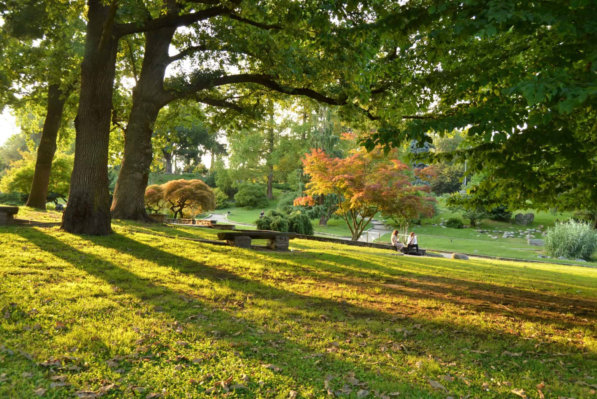 valentino park arbres