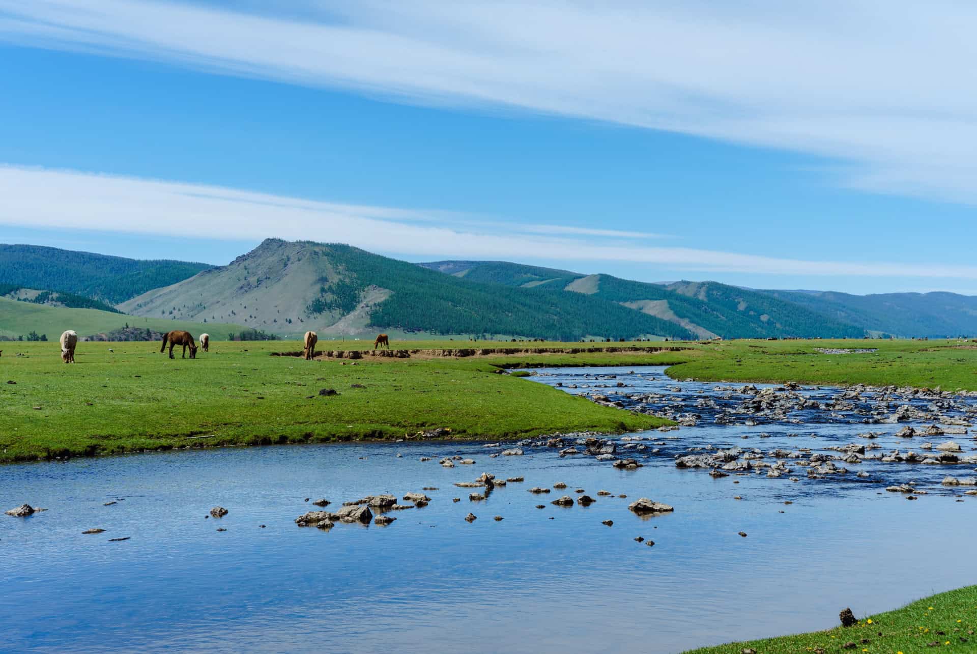 vallee orkhon que faire en mongolie