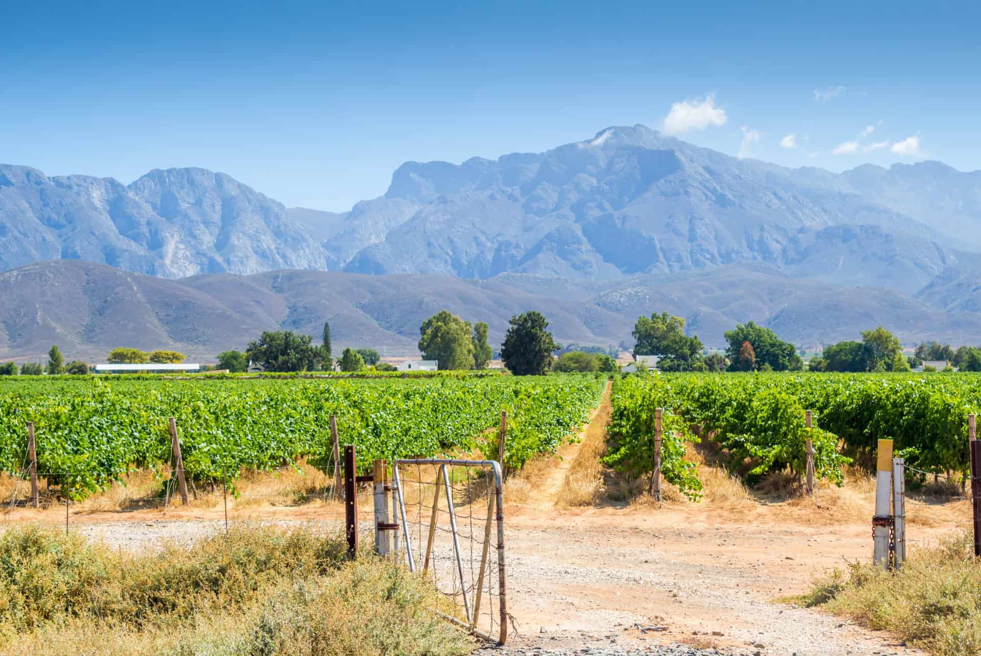afrique du sud en juillet robertson