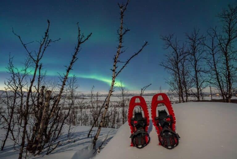 Excursion en raquettes à neige à Abisko